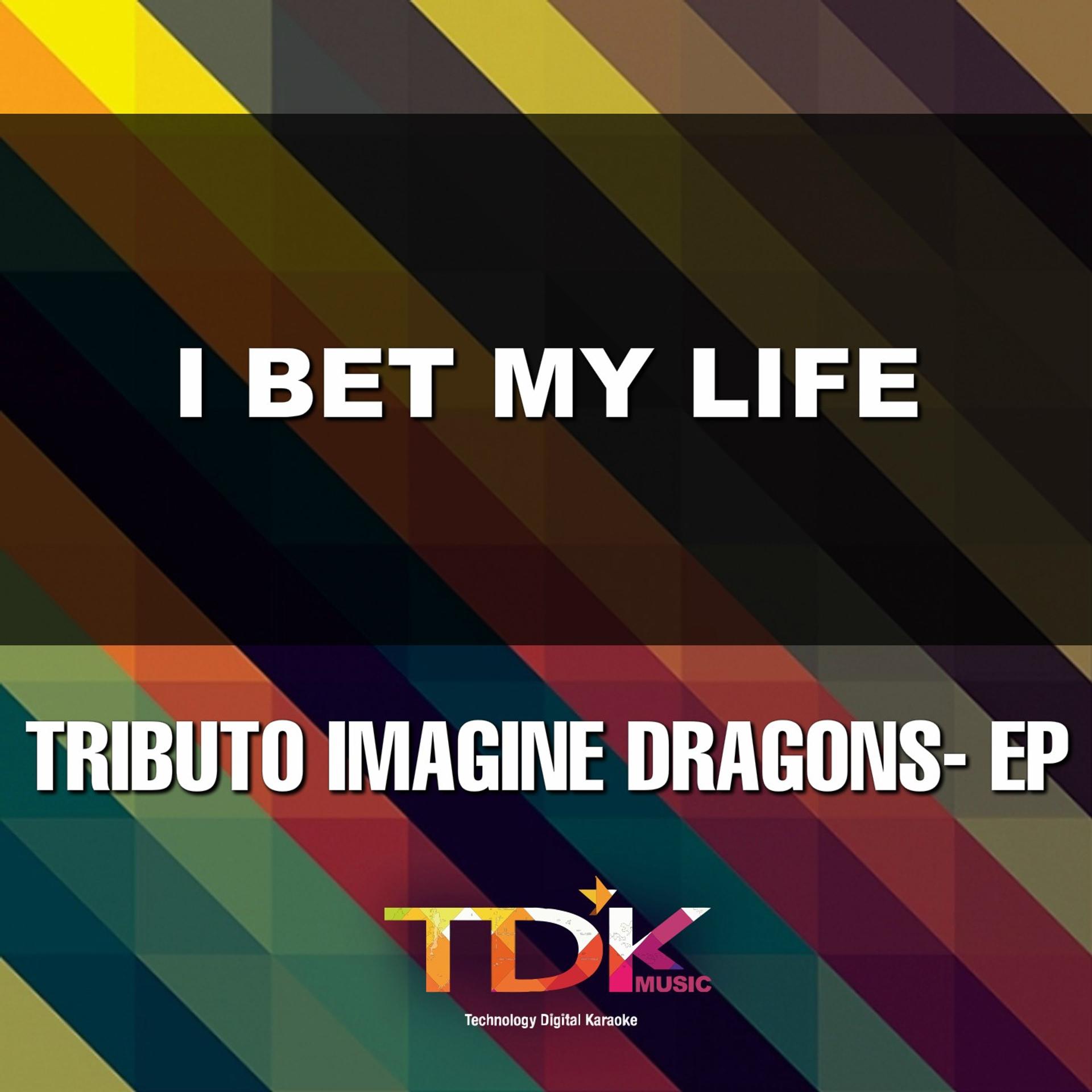 Постер альбома I Bet My Life(Karaoke Version) [In The Style Of Imagine Dragons]