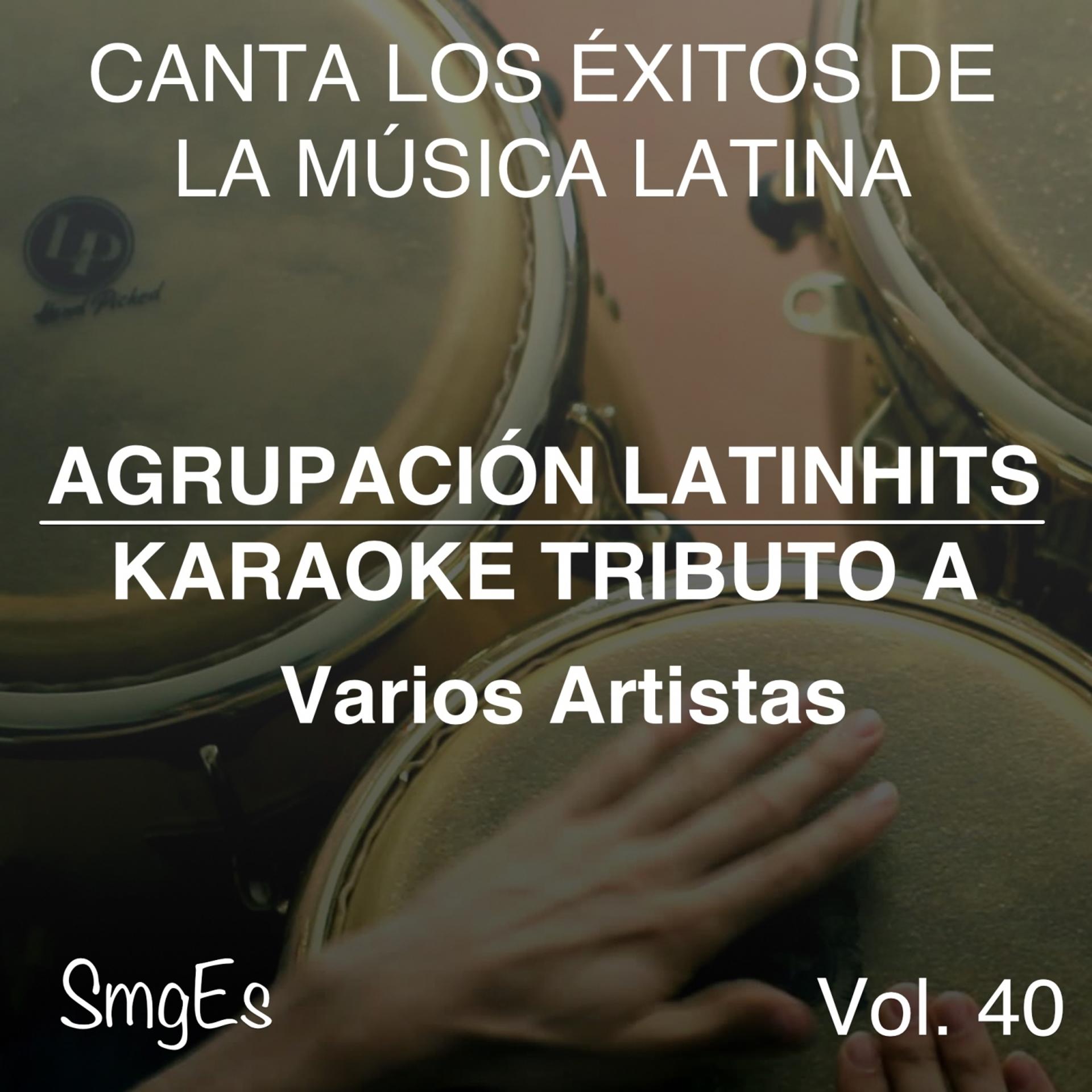Постер альбома Instrumental Karaoke Series: Varios Artistas, Vol. 40