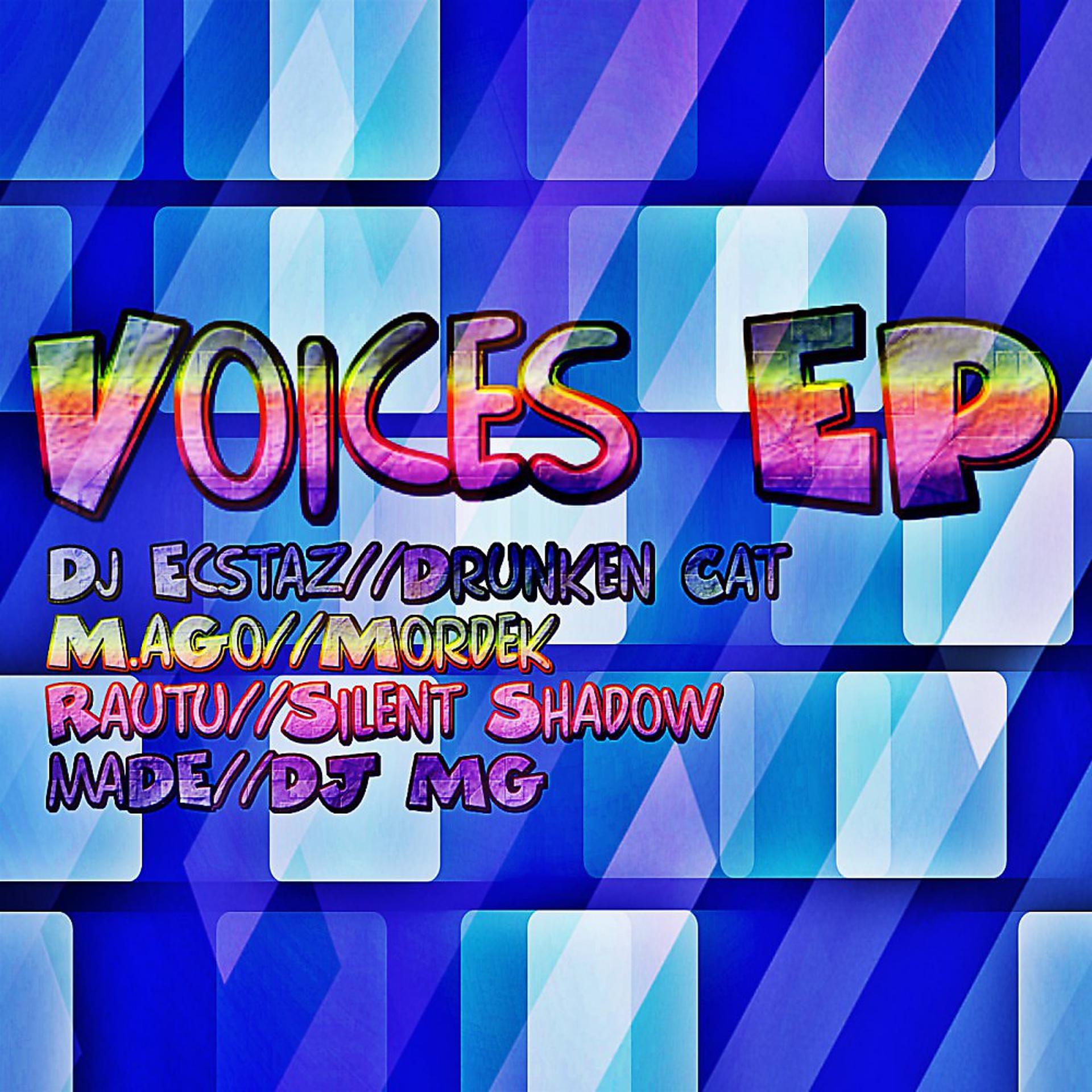 Постер альбома Voices Ep