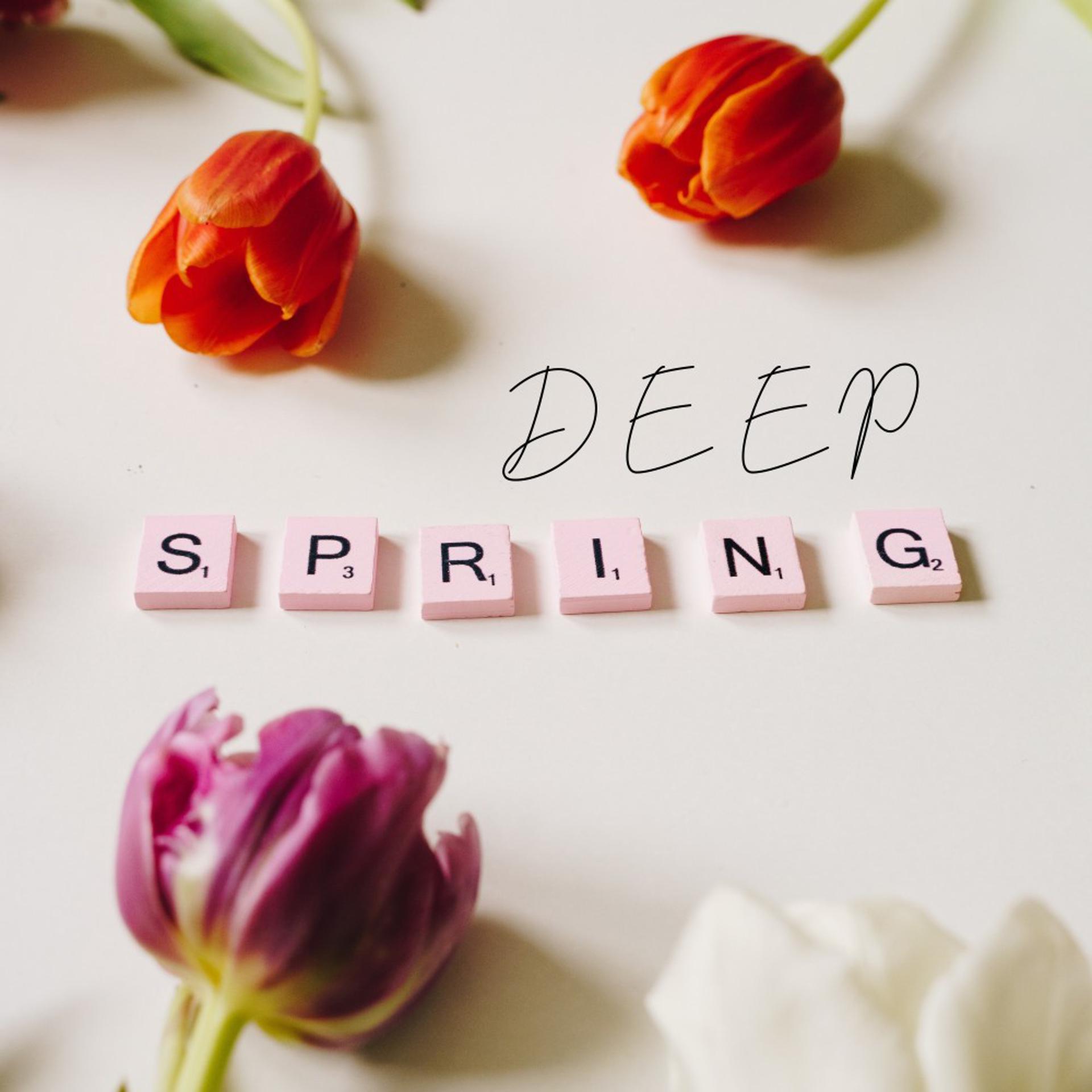 Постер альбома Deep Spring