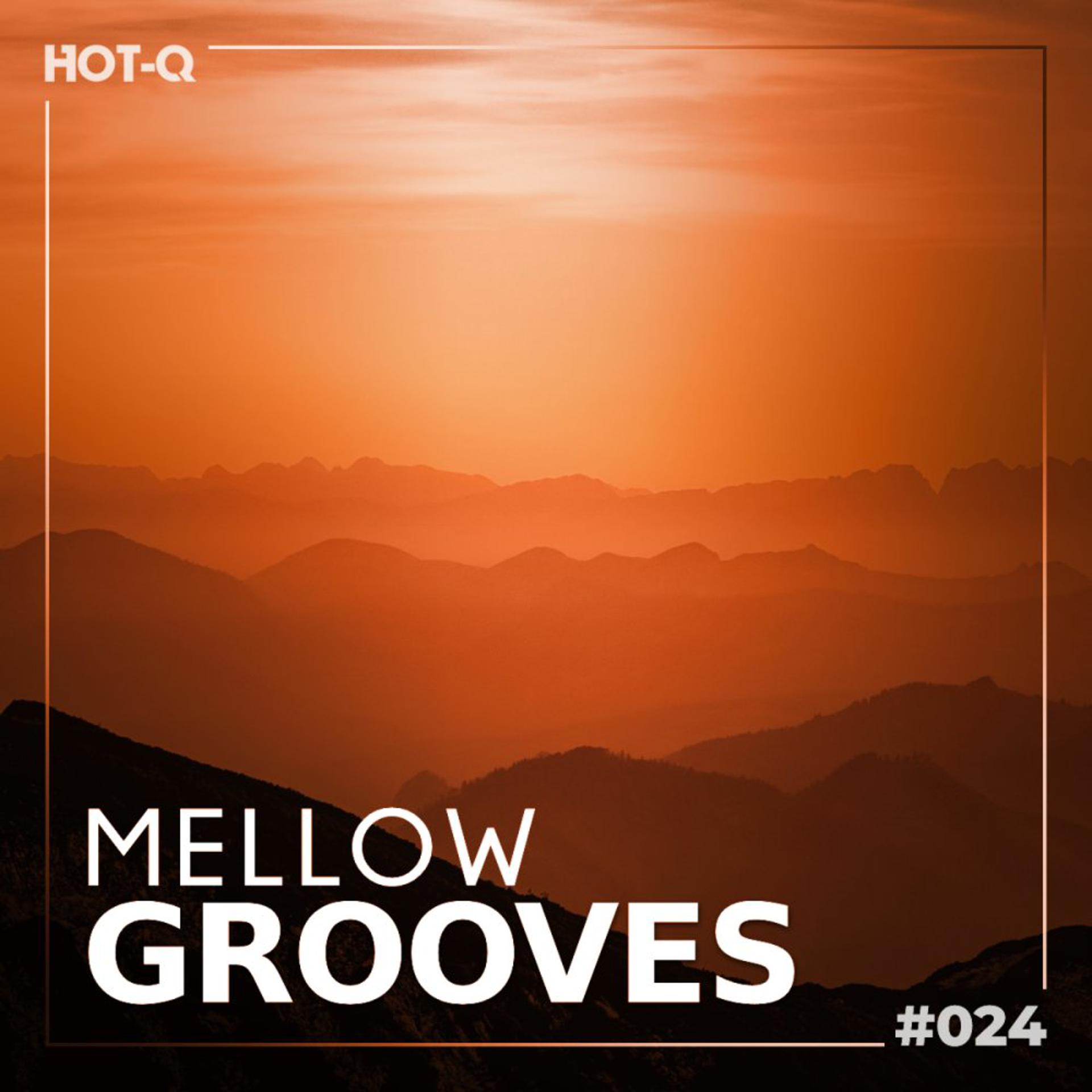Постер альбома Mellow Grooves 024