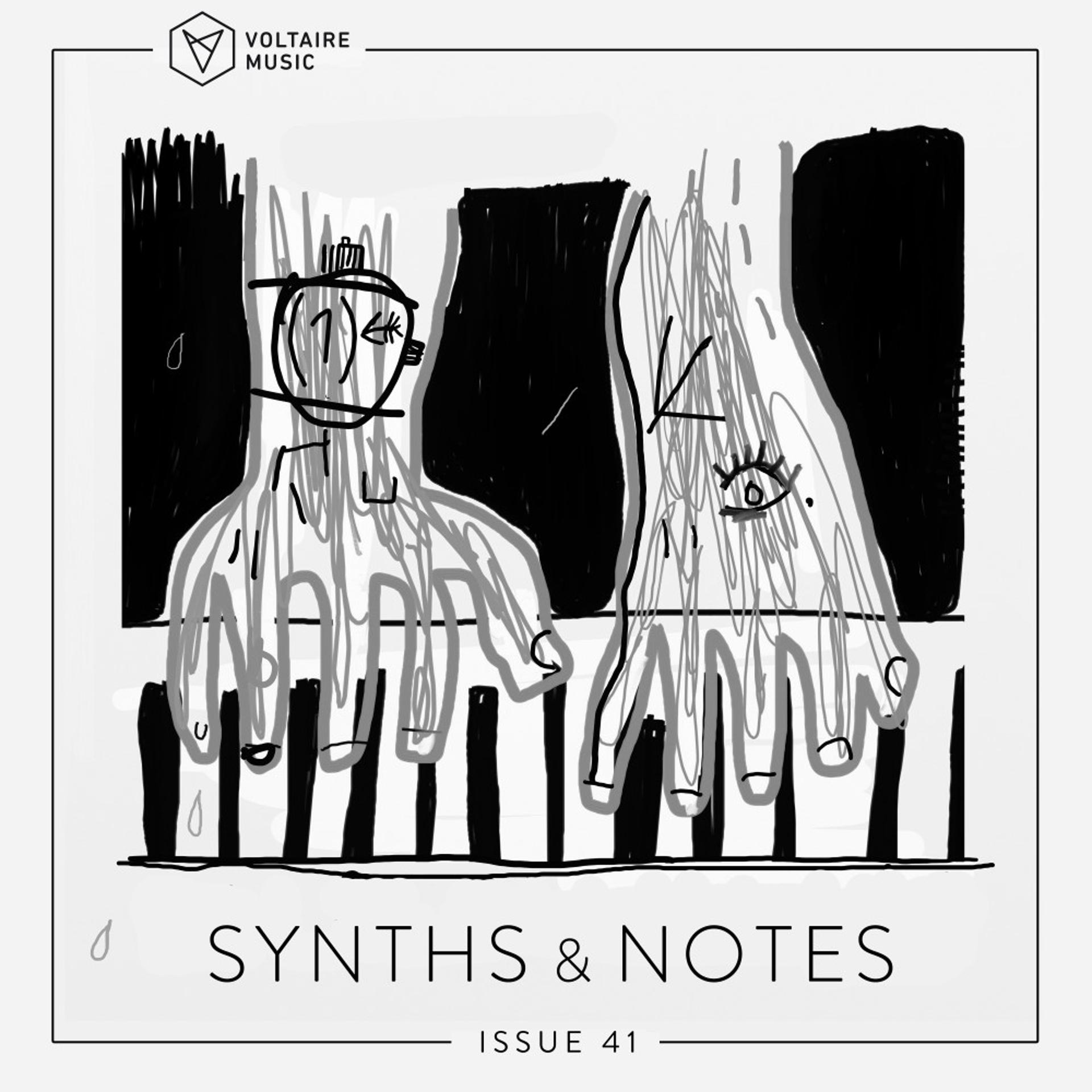 Постер альбома Synths and Notes 41