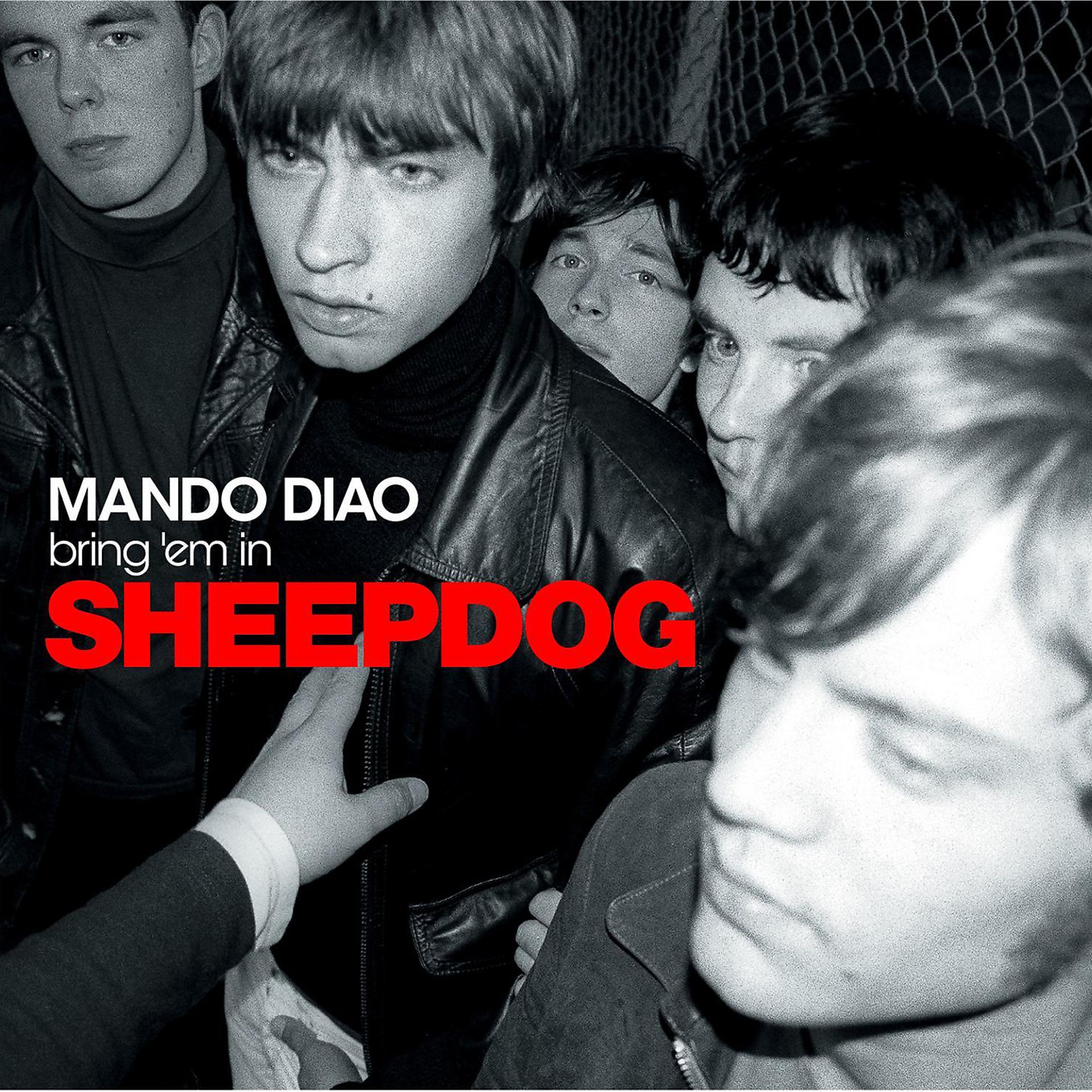 Постер альбома Sheepdog
