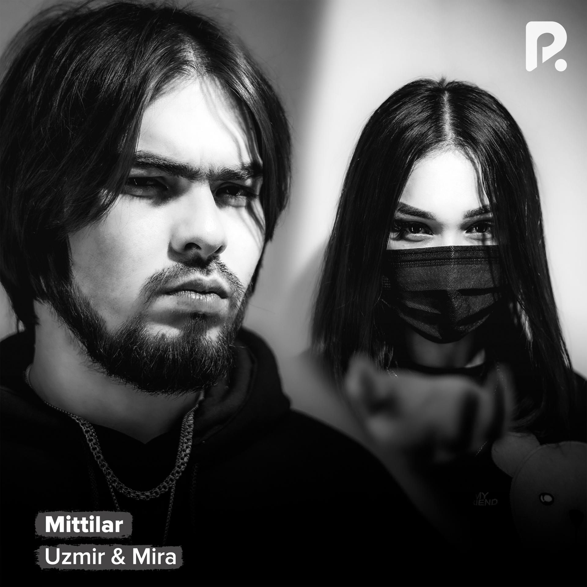 Постер альбома Mittilar
