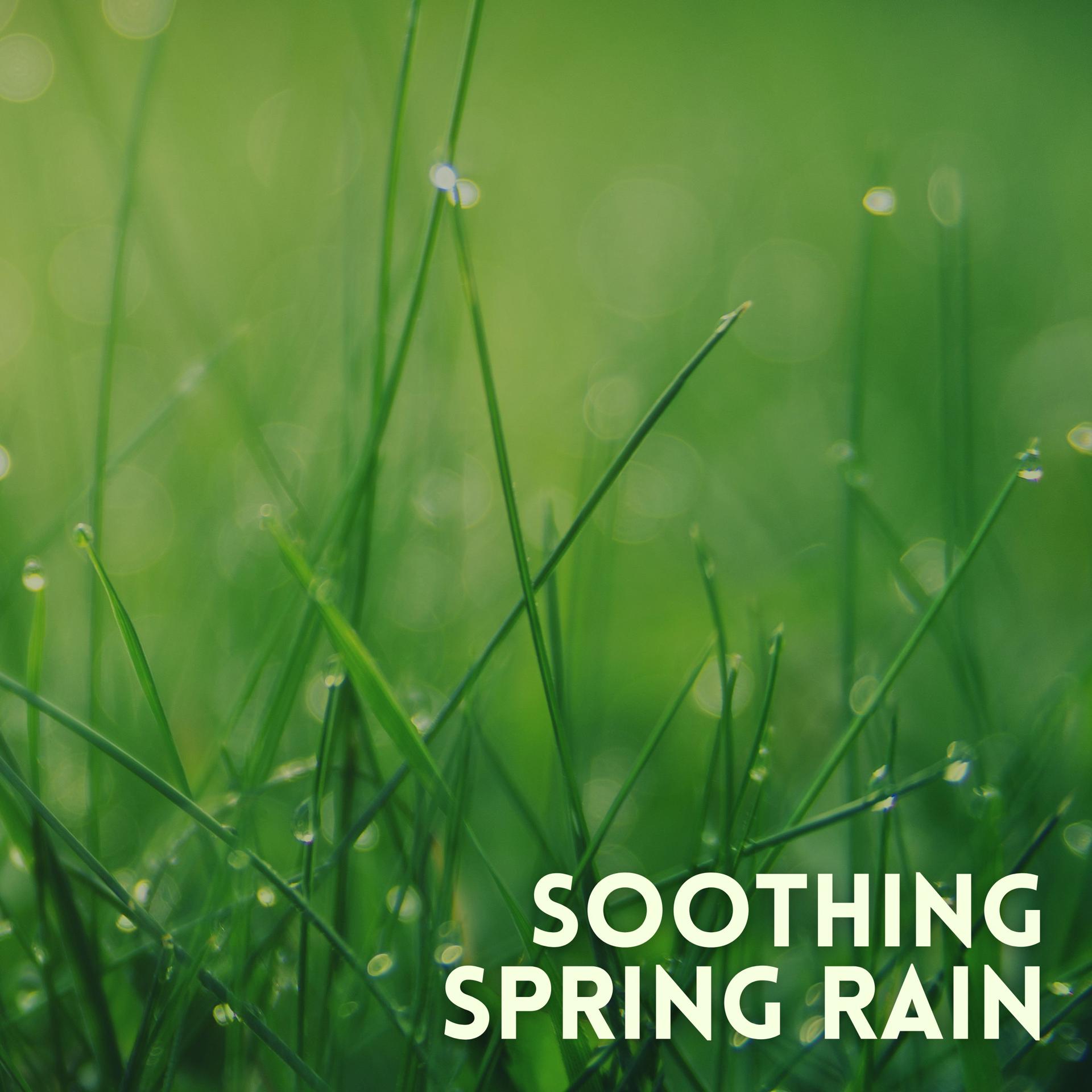 Постер альбома Soothing Spring Rain