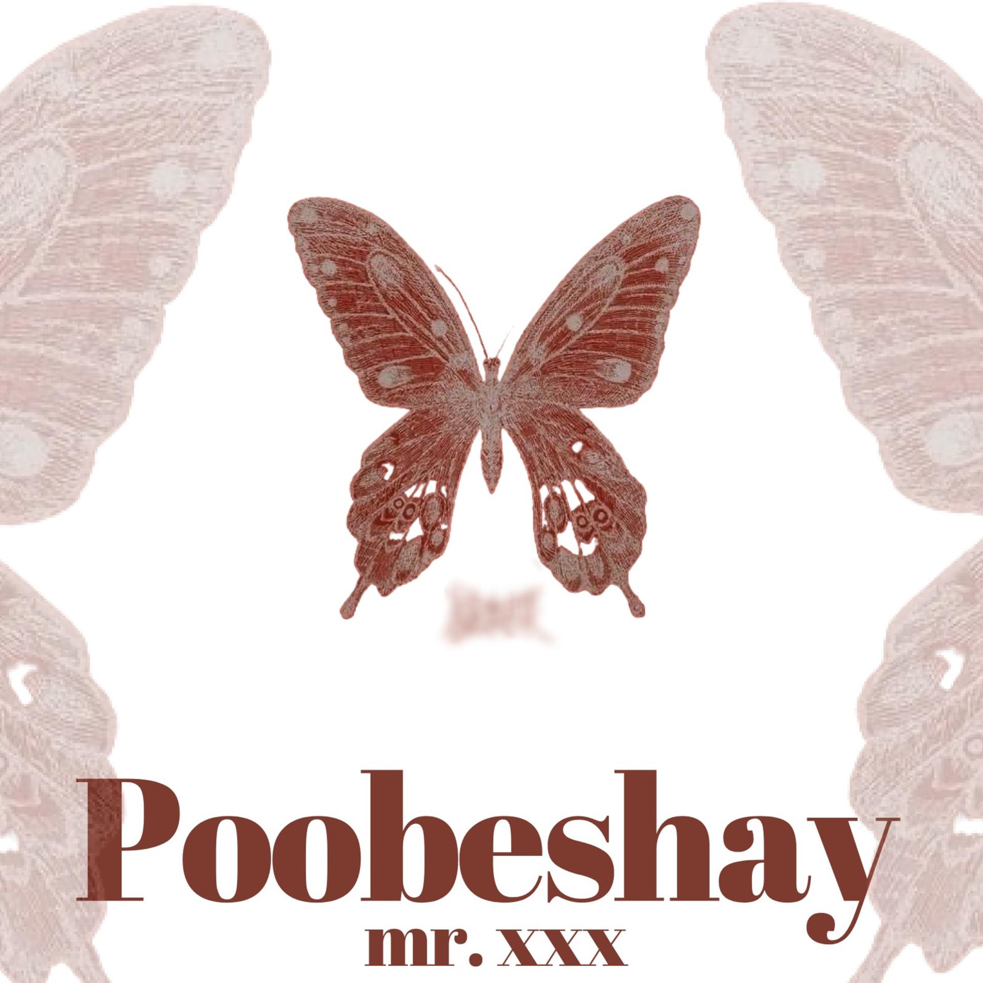 Постер альбома Poobeshay