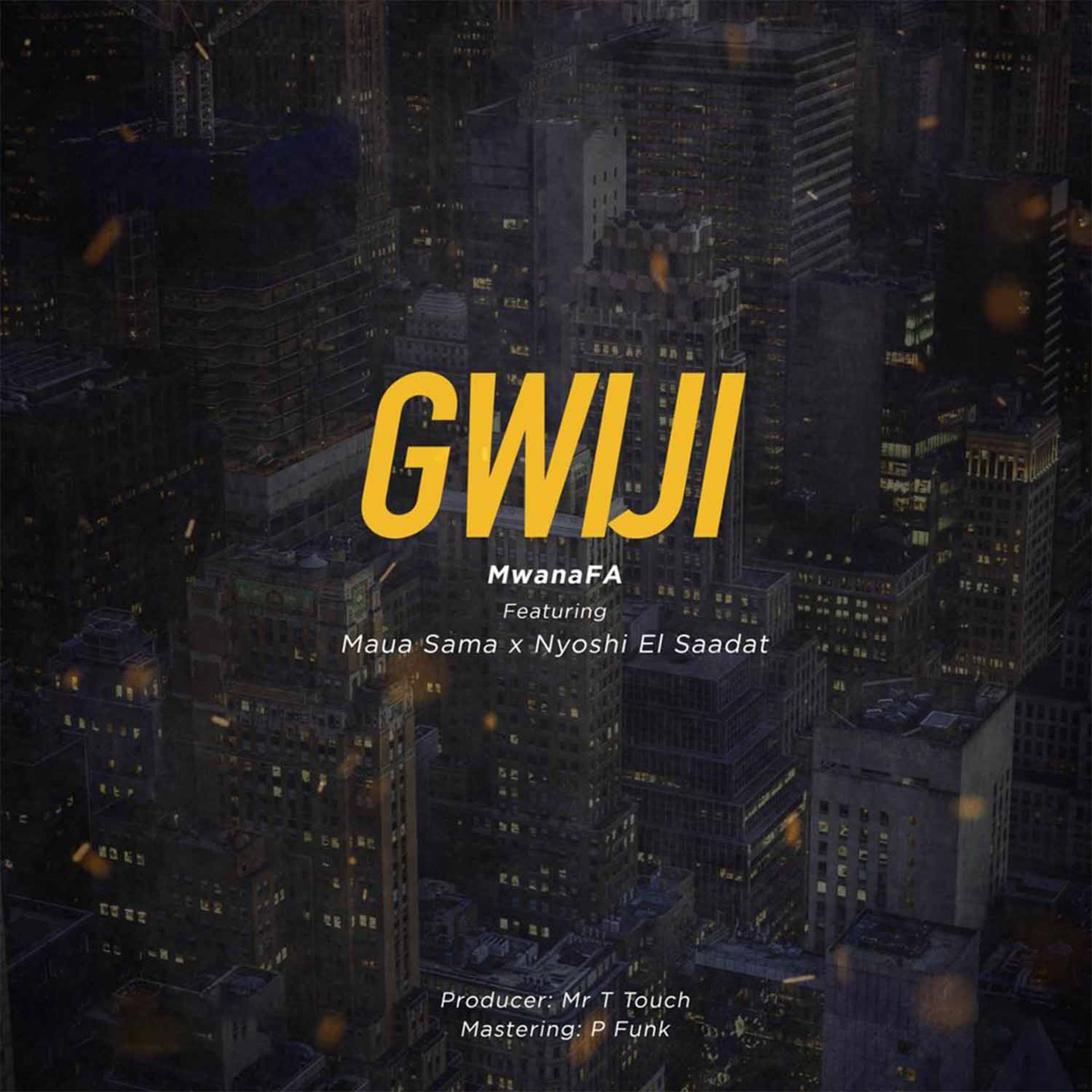 Постер альбома Gwiji