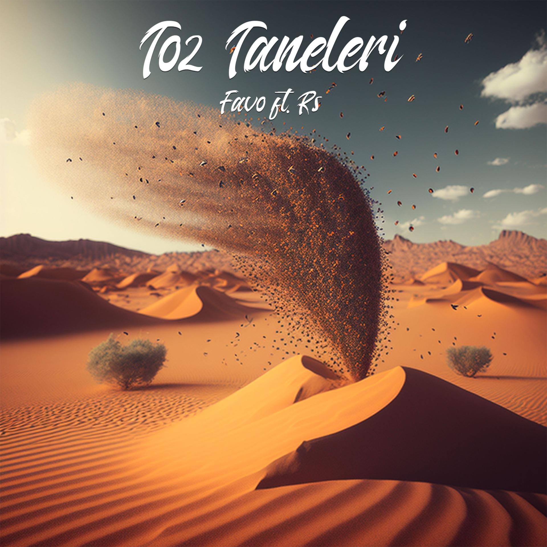 Постер альбома Toz Taneleri