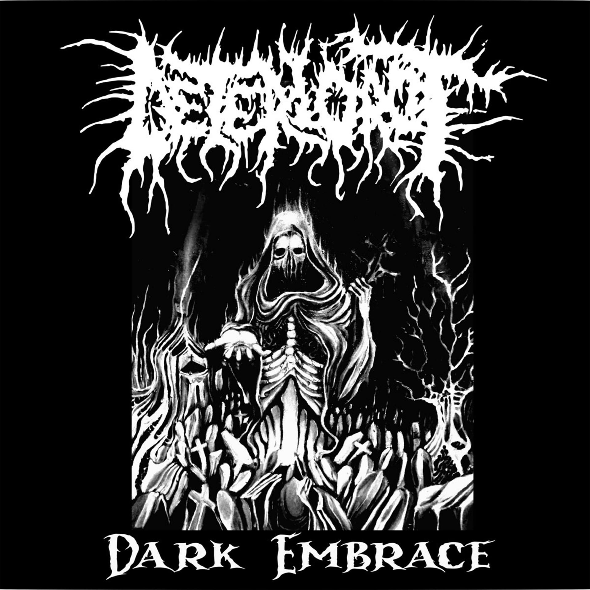 Постер альбома Dark Embrace