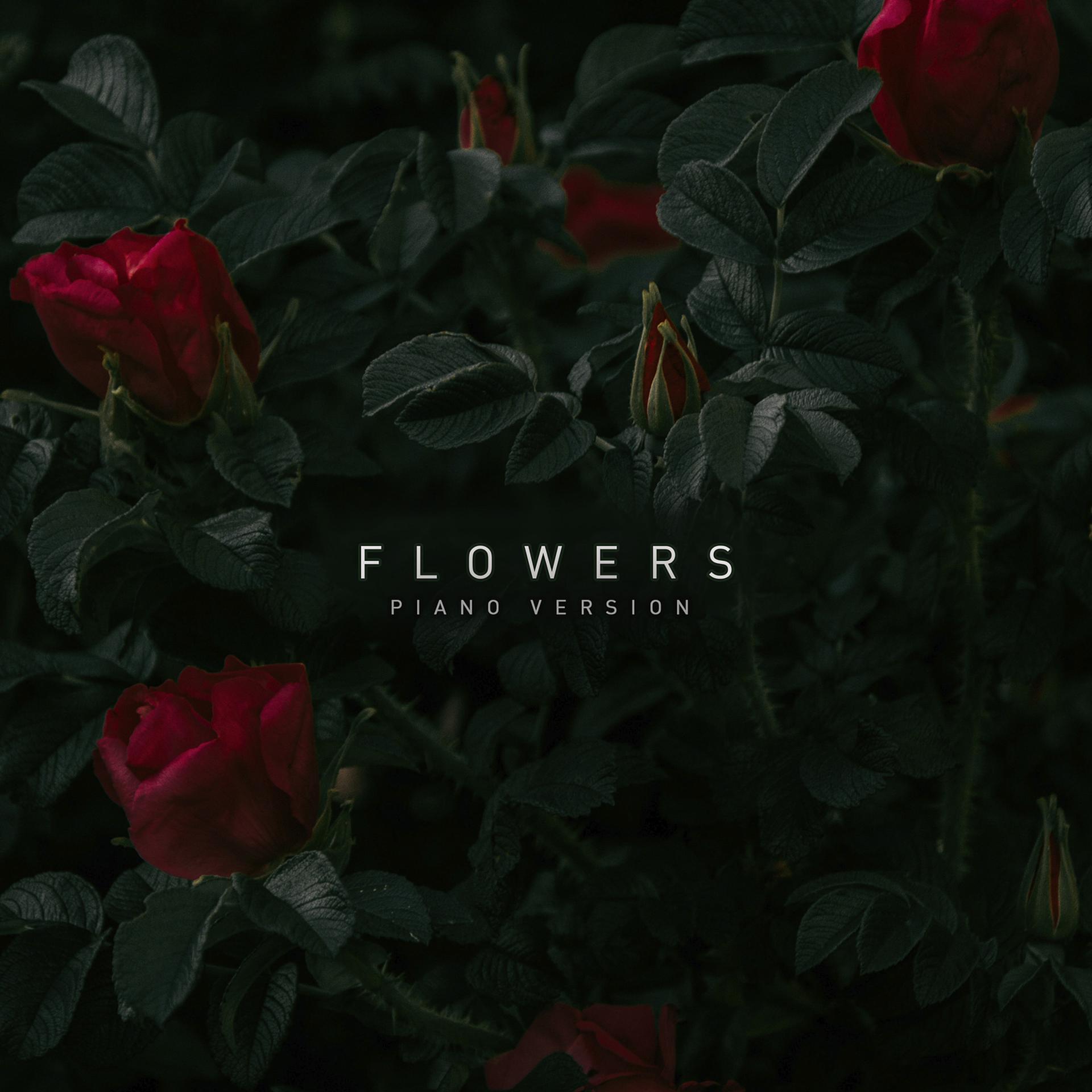 Постер альбома Flowers (Piano Version)
