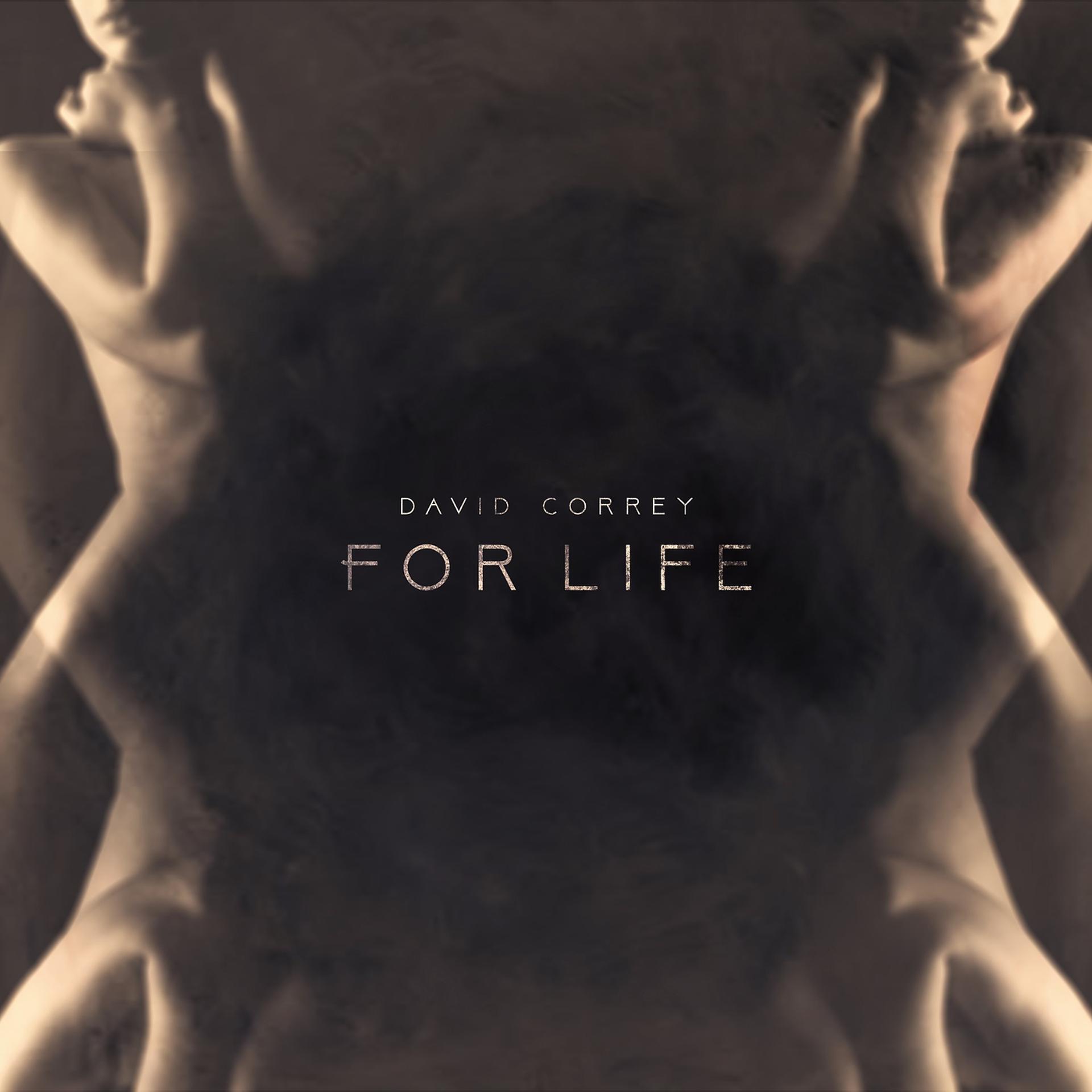 Постер альбома For Life