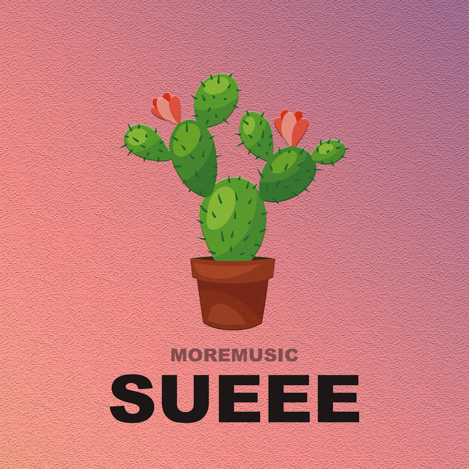 Постер альбома Sueee