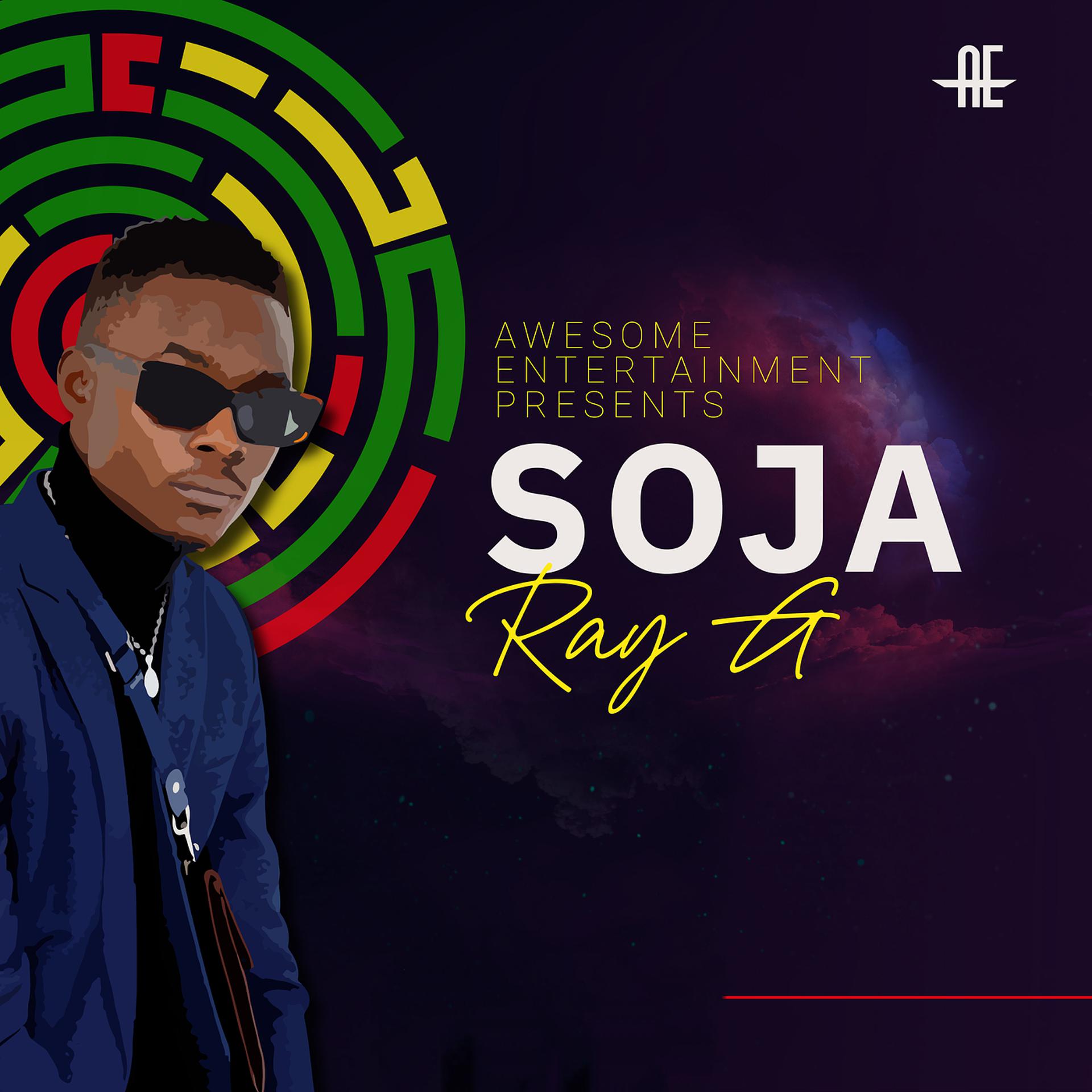 Постер альбома Soja