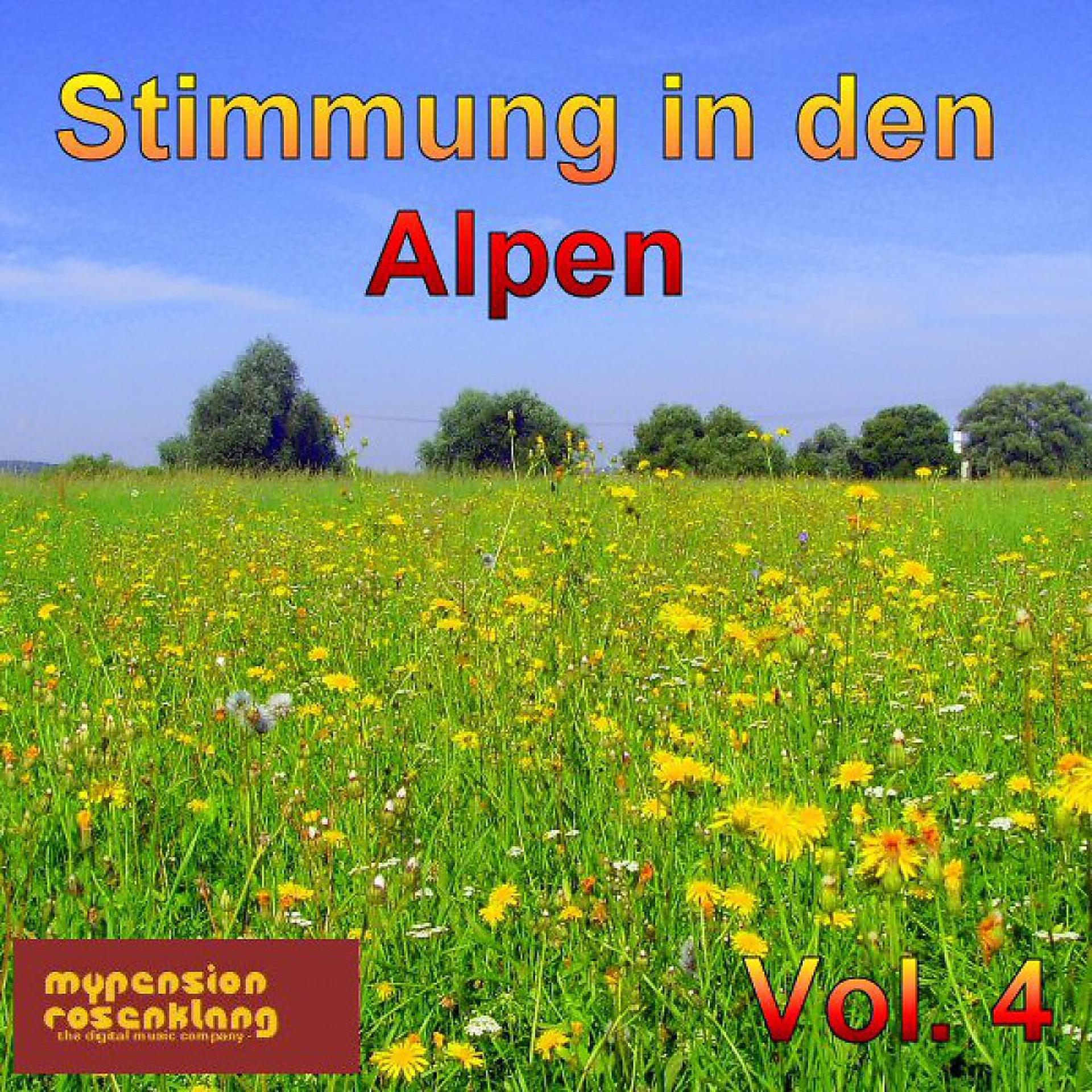 Постер альбома Party in the Alps - Stimmung in Den Alpen Vol. 4