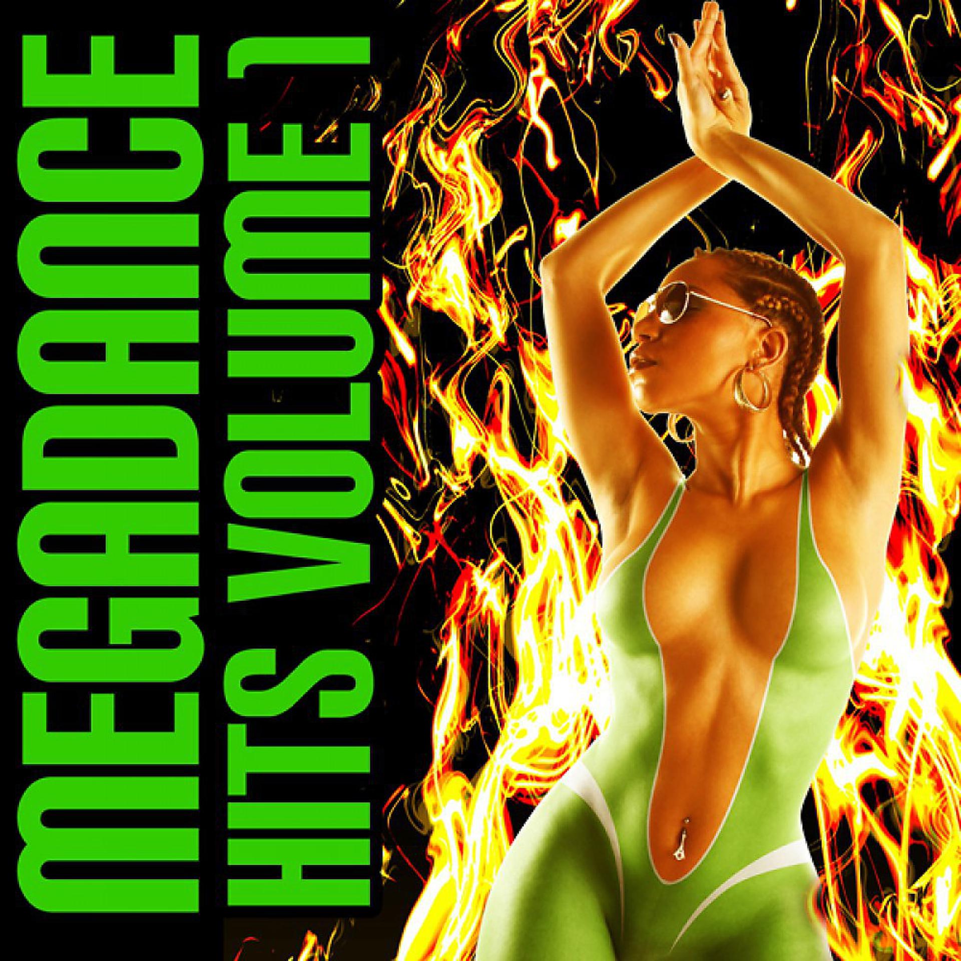 Постер альбома Mega Dance Hits Vol. 1