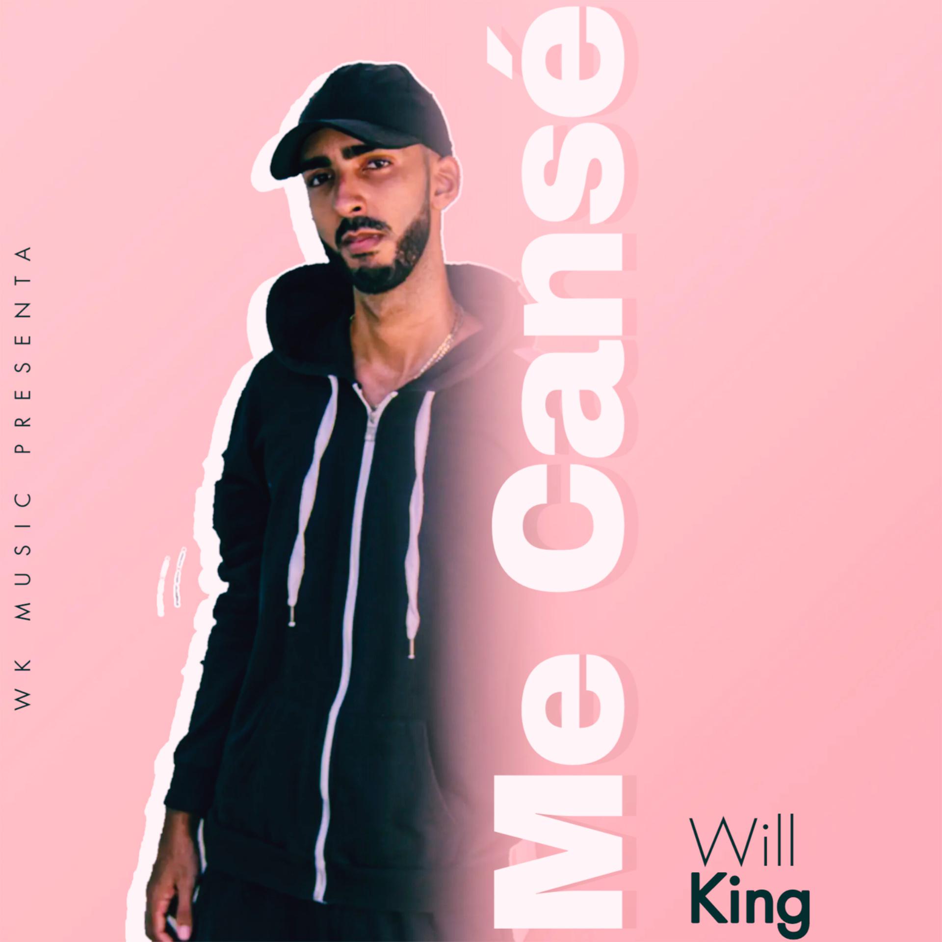 Постер альбома Me Cansé