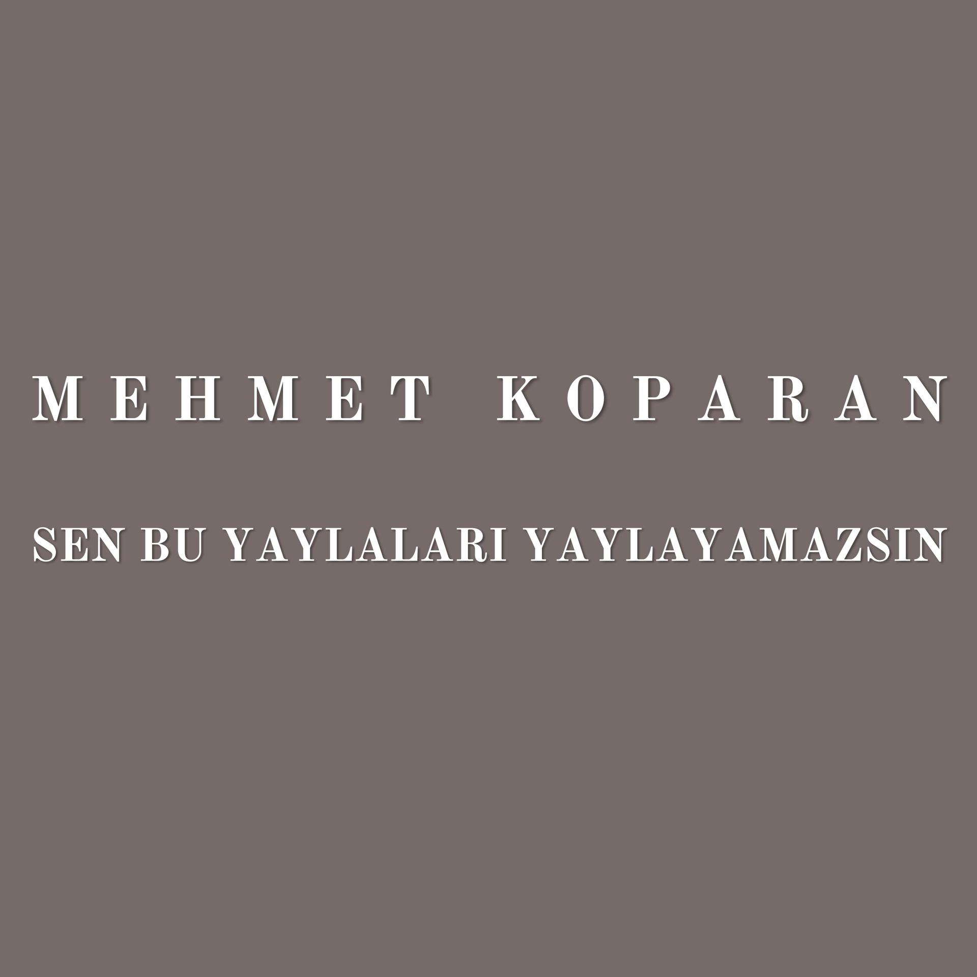 Постер альбома Sen Bu Yaylaları Yaylayamazsın