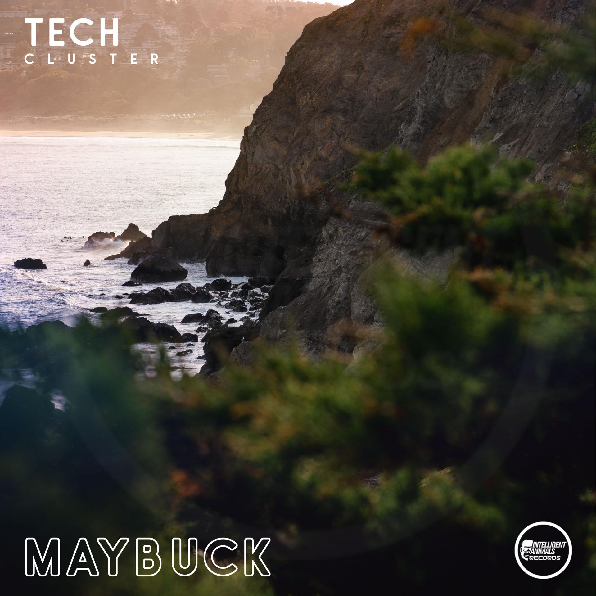 Постер альбома Maybuck