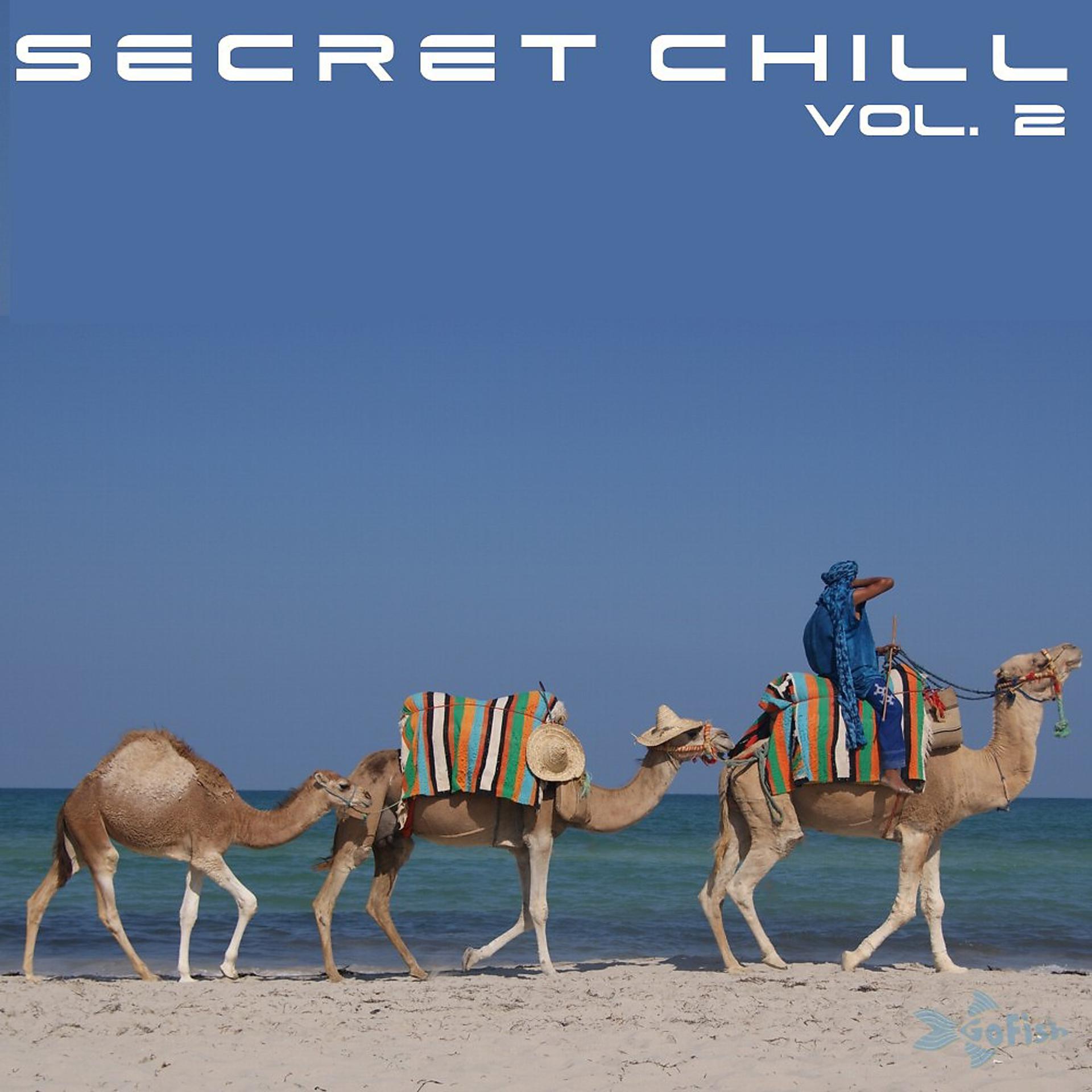 Постер альбома Secret Chill - Vol. 2