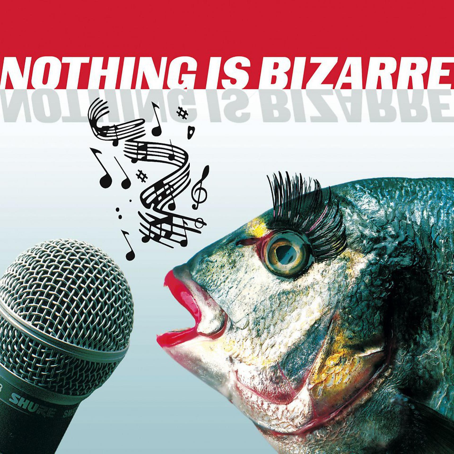 Постер альбома Nothing Is Bizarre