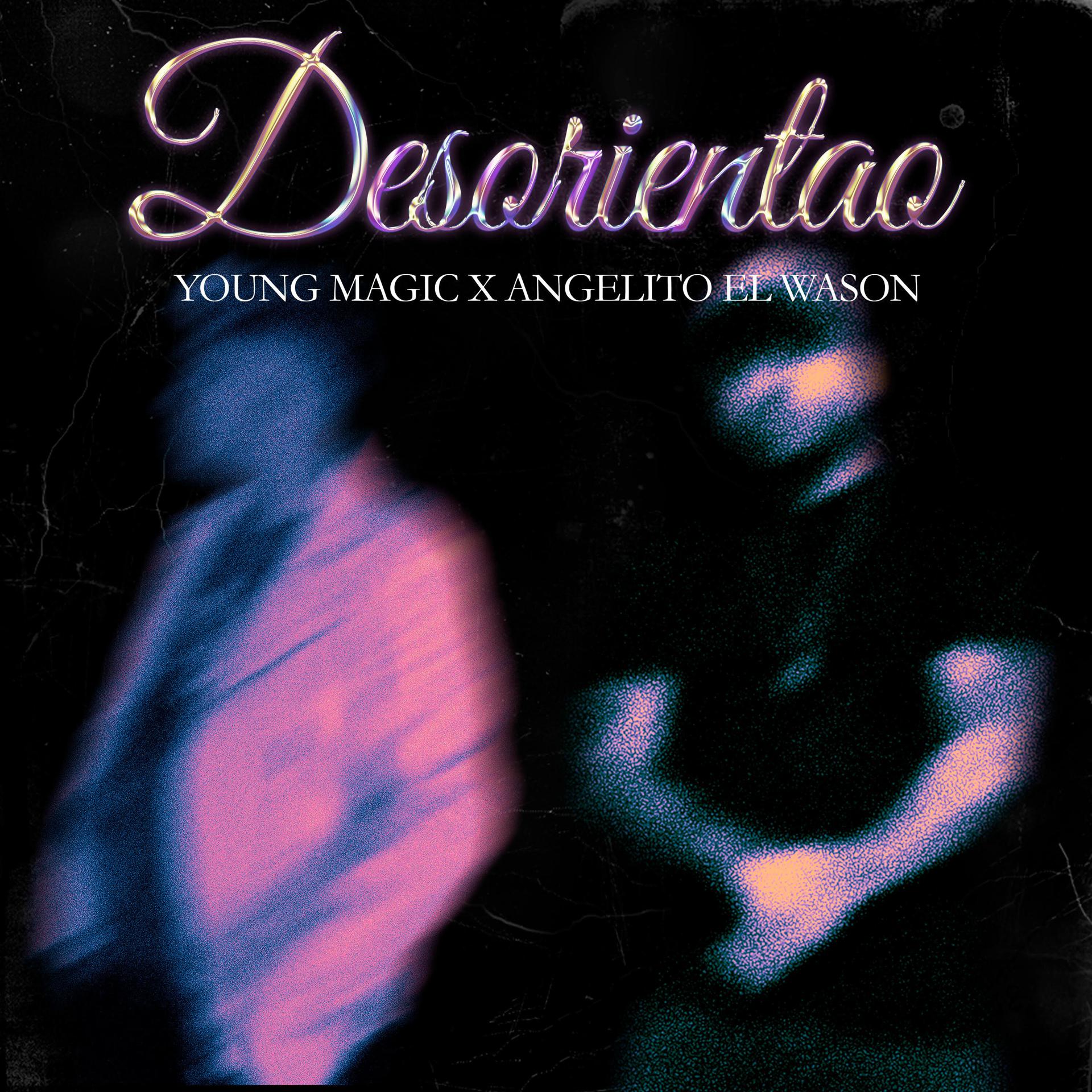 Постер альбома Desorientao