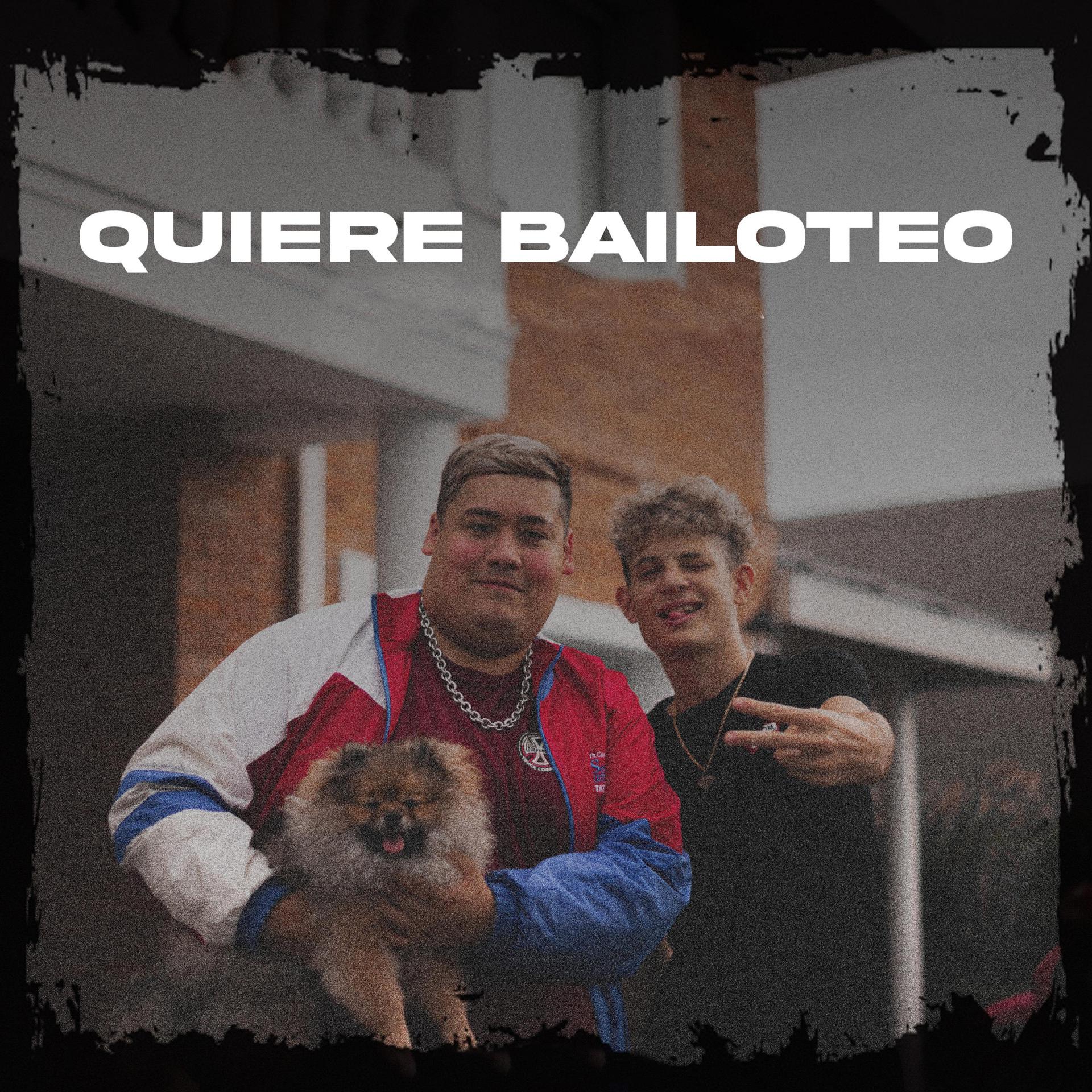 Постер альбома Quiere Bailoteo