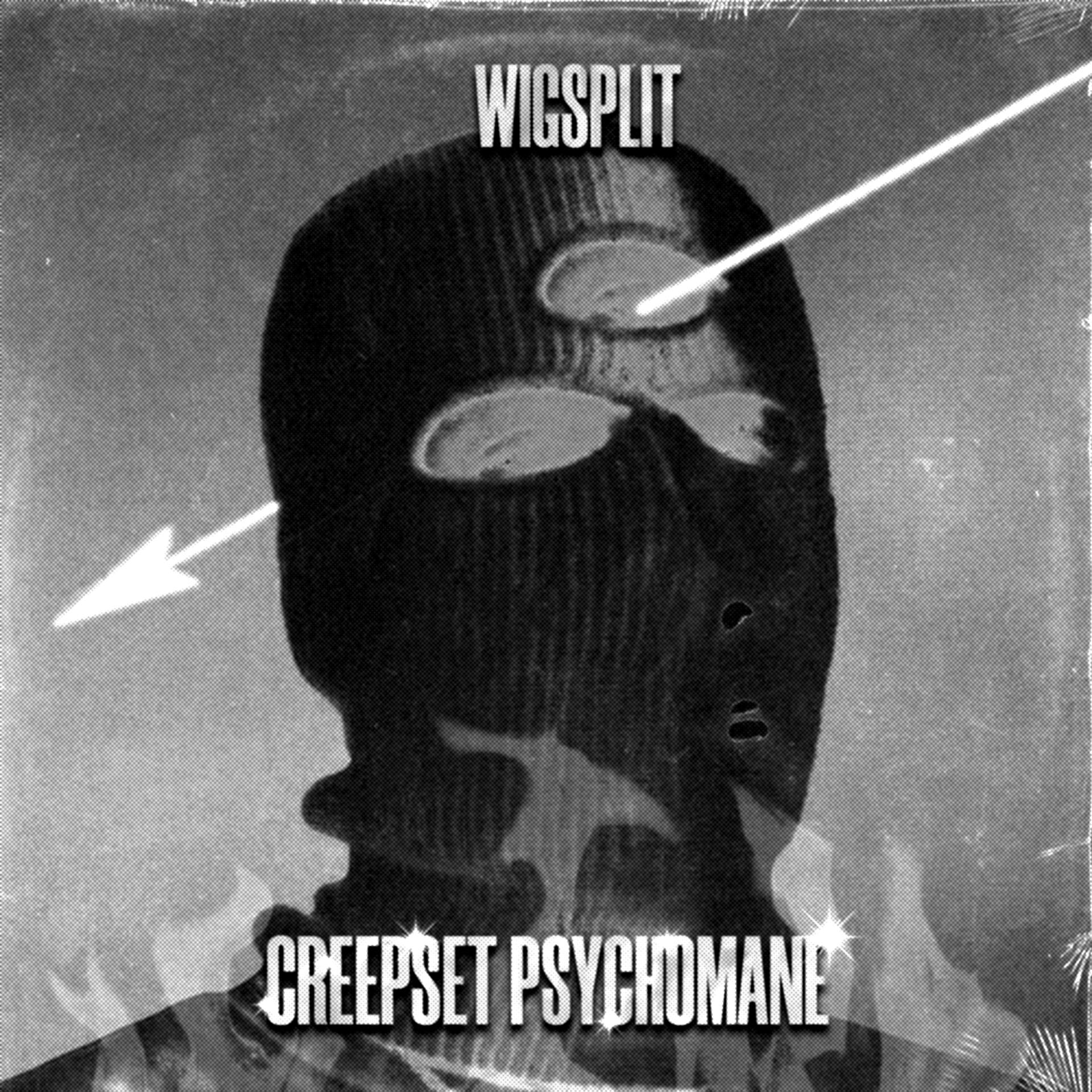 Постер альбома WIGSPLIT