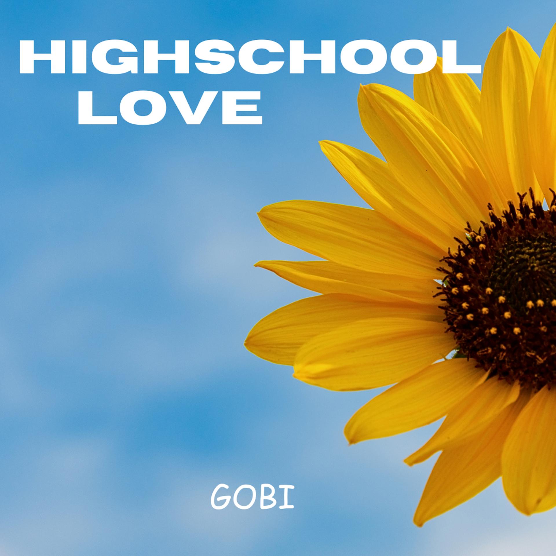 Постер альбома Highschool Love