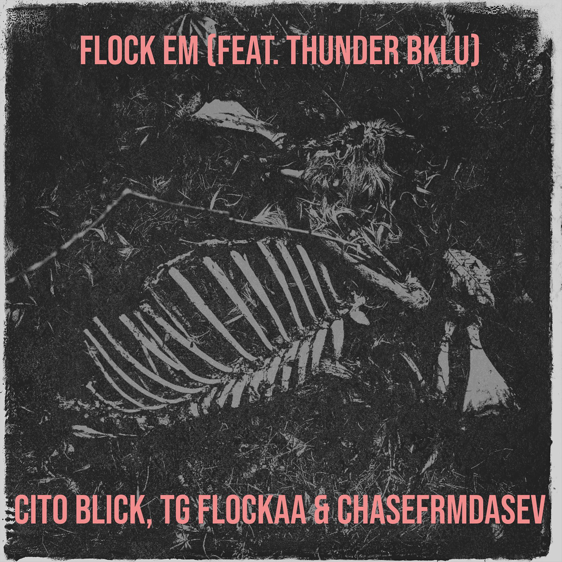 Постер альбома Flock Em