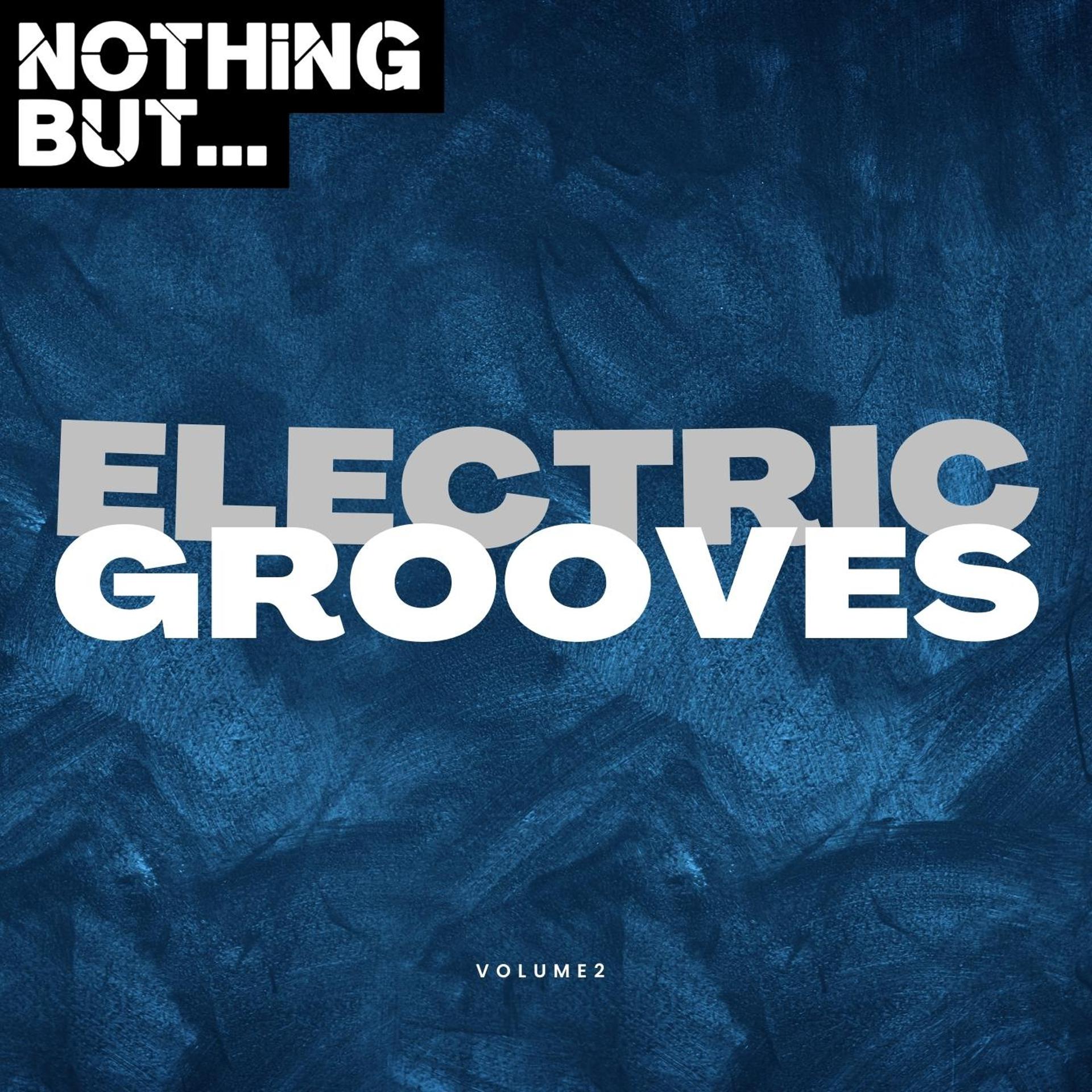 Постер альбома Nothing But... Electric Grooves, Vol. 02