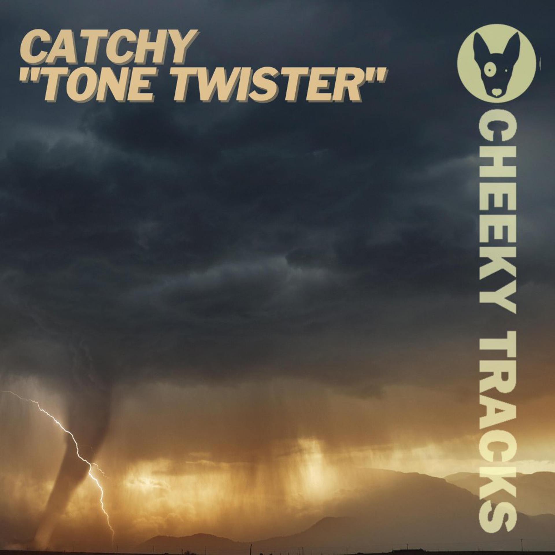 Постер альбома Tone Twister