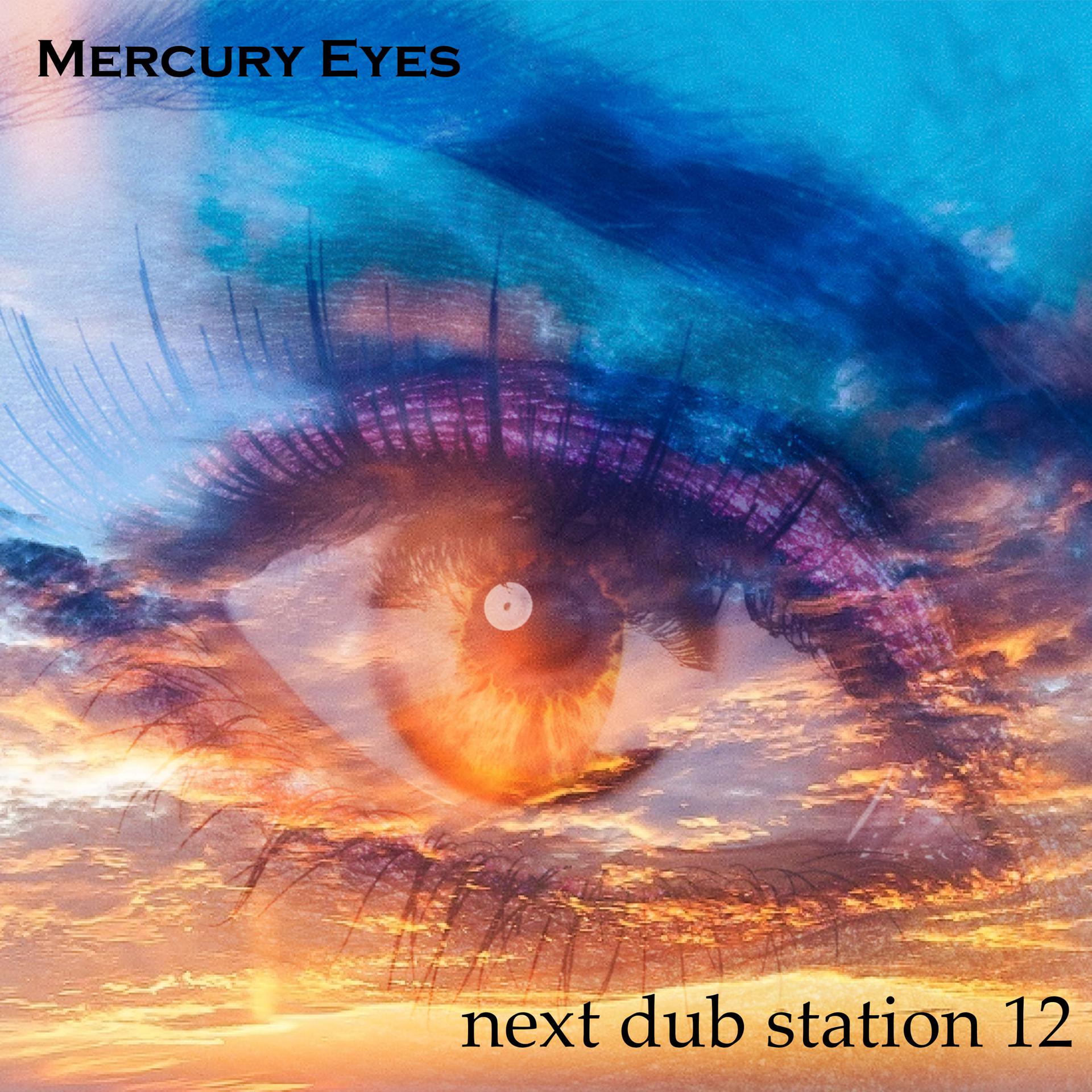 Постер альбома Next Dub Station 12
