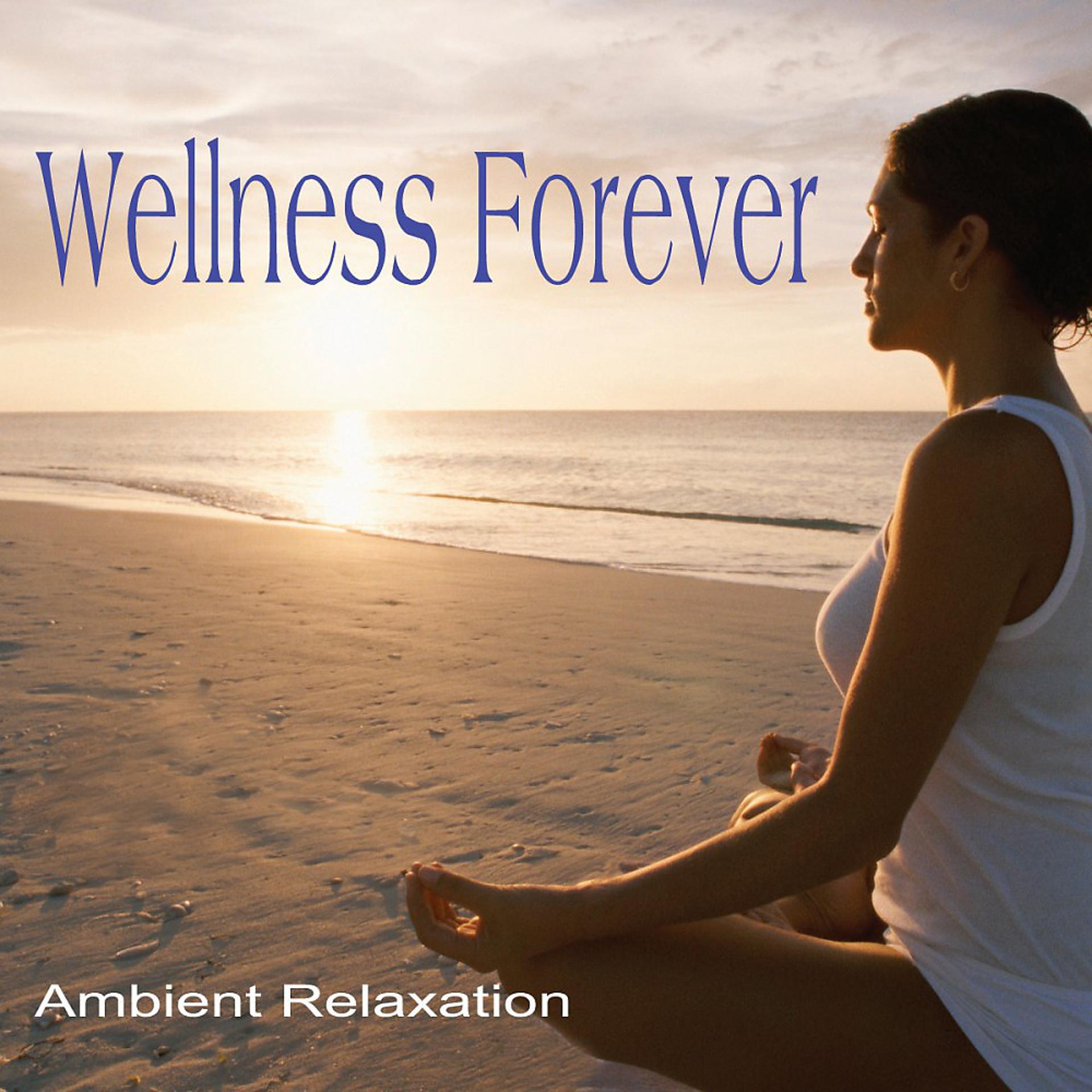 Постер альбома Wellness Forever