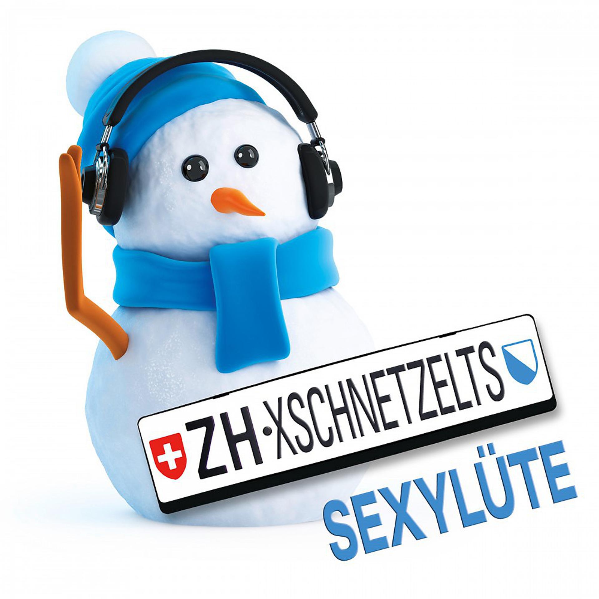 Постер альбома Züri Xschnetzelts Sexylüte
