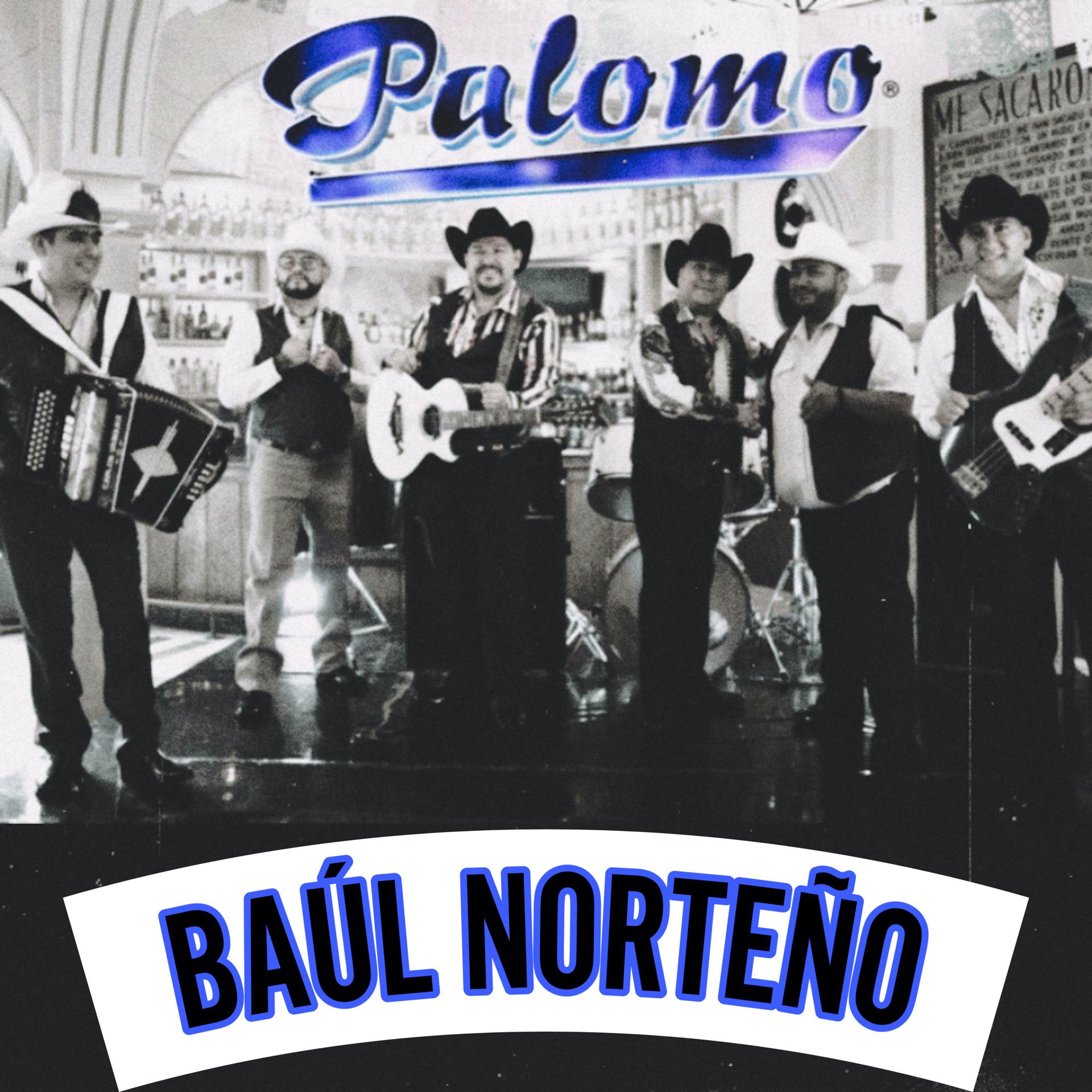 Постер альбома Baúl Norteño