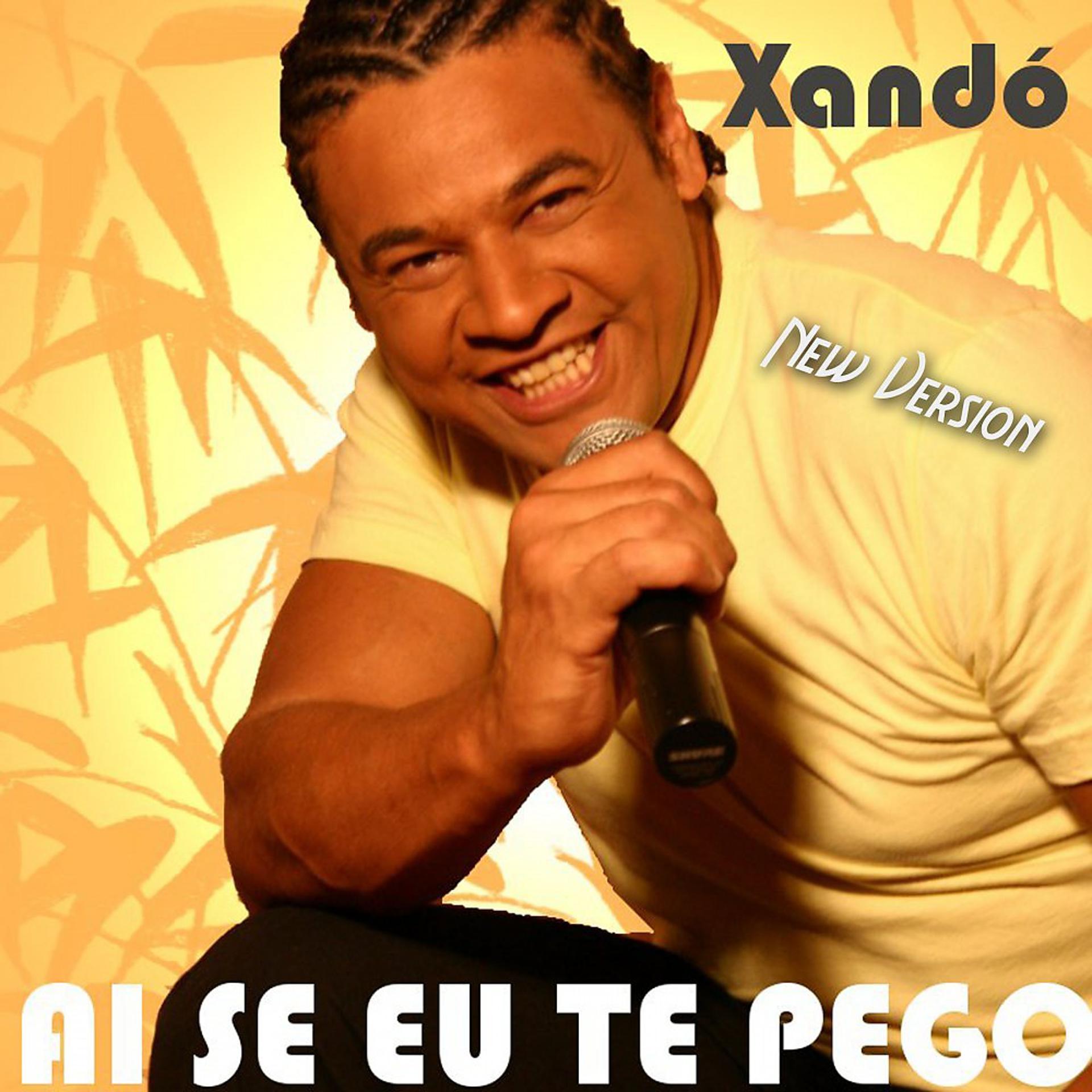 Постер альбома Ai Se Eu Te Pego (New Version)