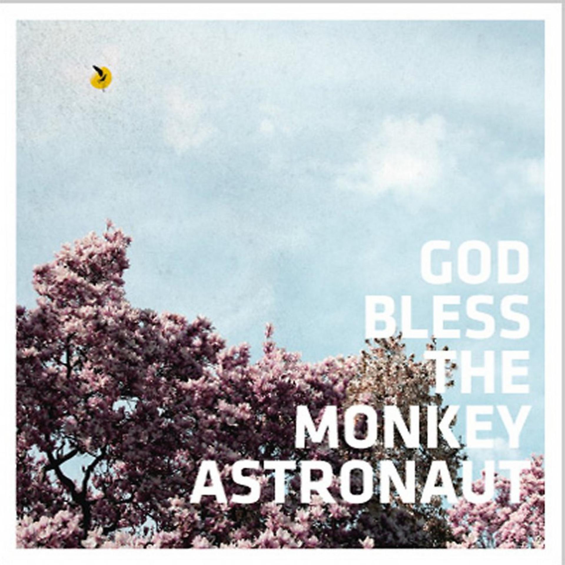 Постер альбома God Bless the Monkey Astronaut