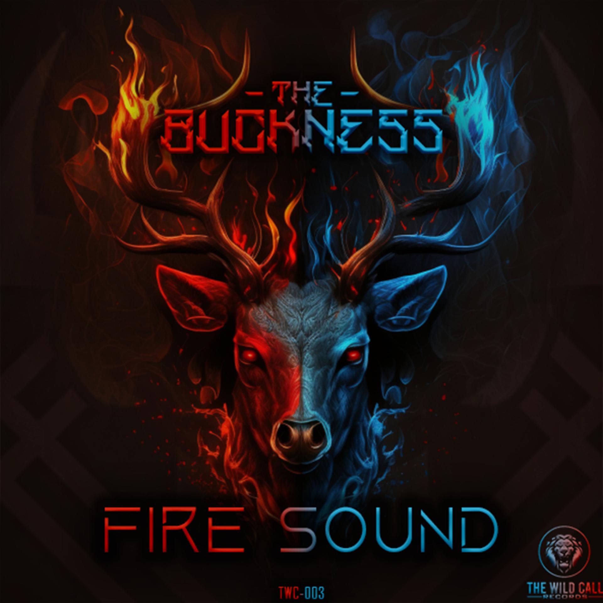 Постер альбома Firesound