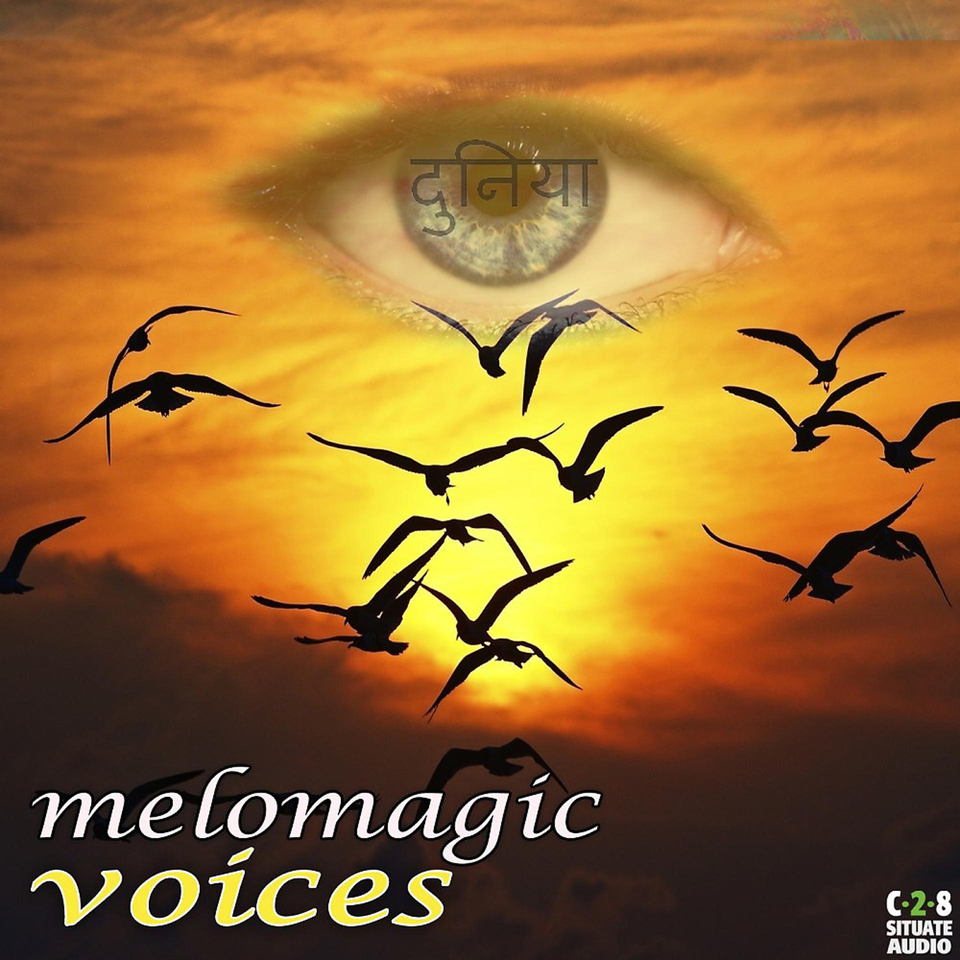 Постер альбома Voices