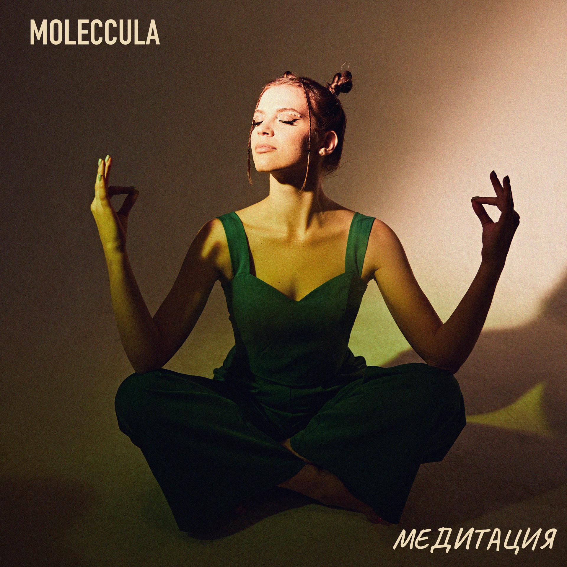 Постер альбома Медитация
