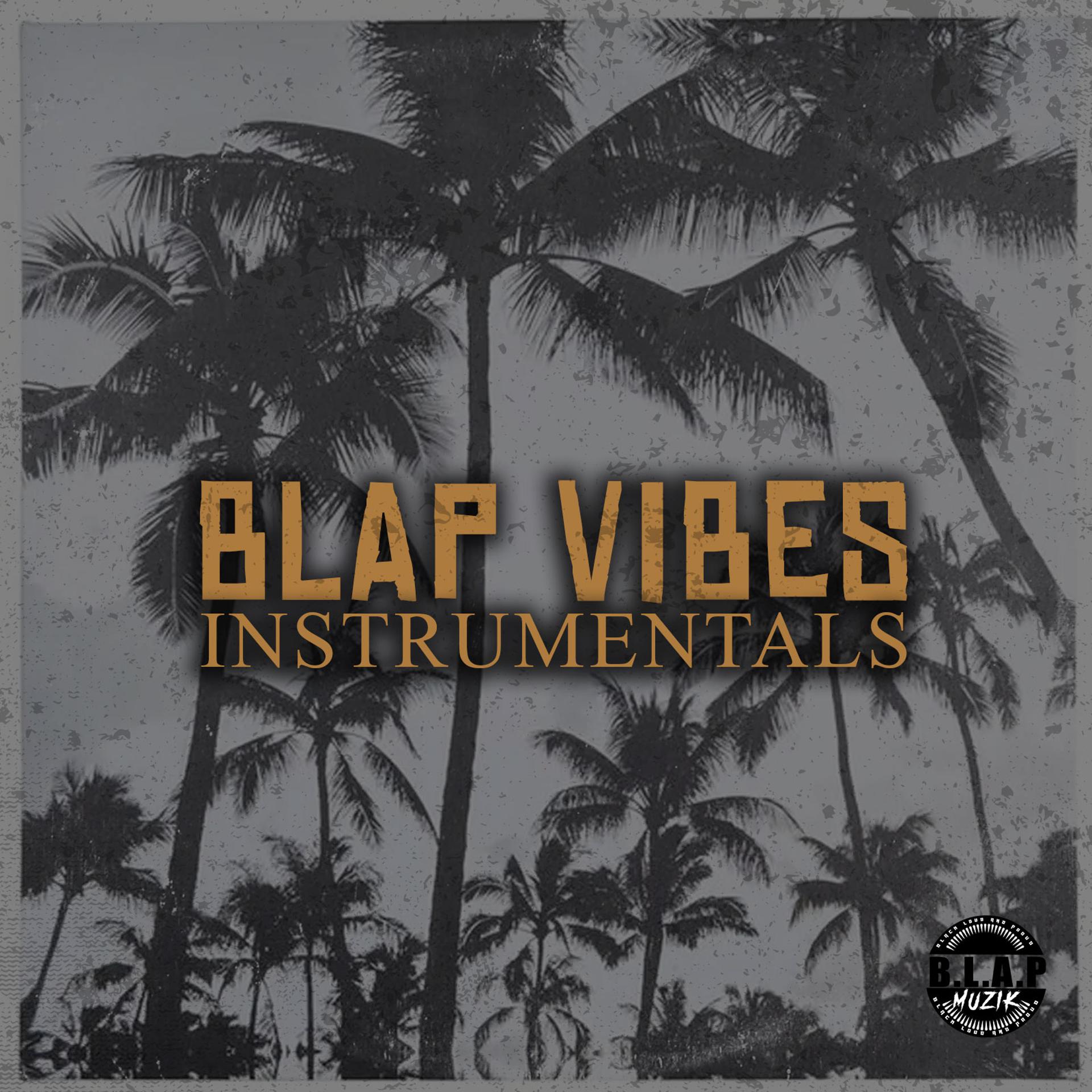 Постер альбома Blap Vibes