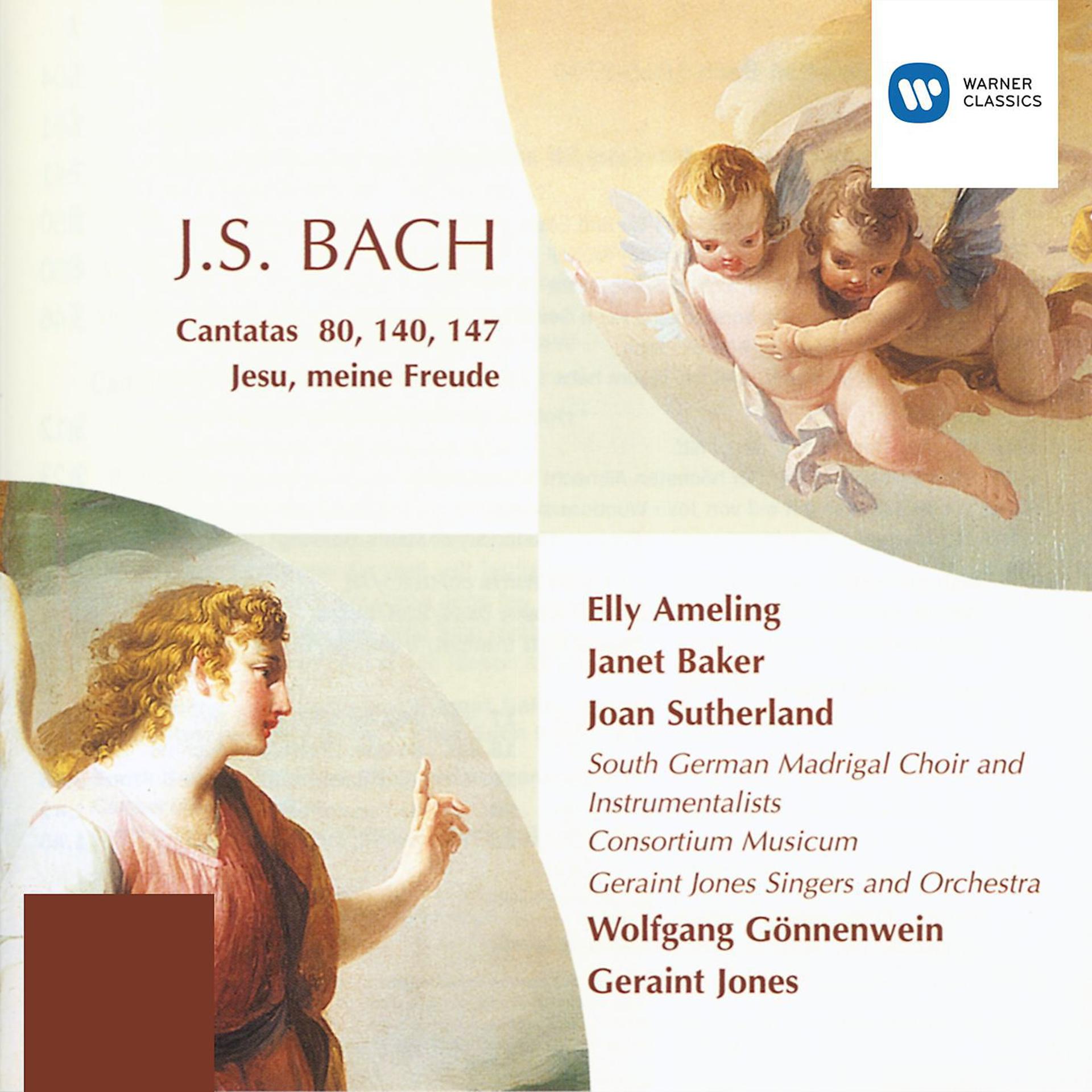 Постер альбома Cantatas - Bach