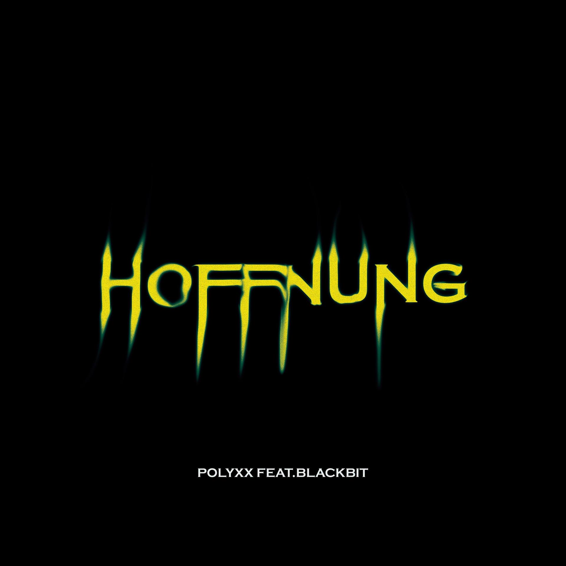 Постер альбома Hoffnung (feat. Blackbit)