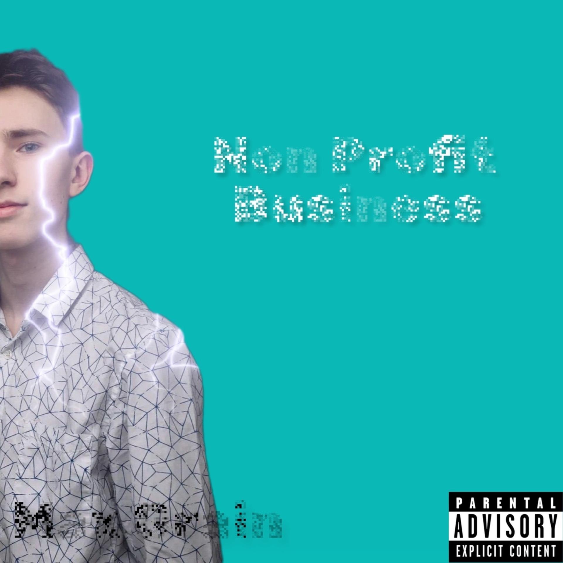 Постер альбома Non Profit Business