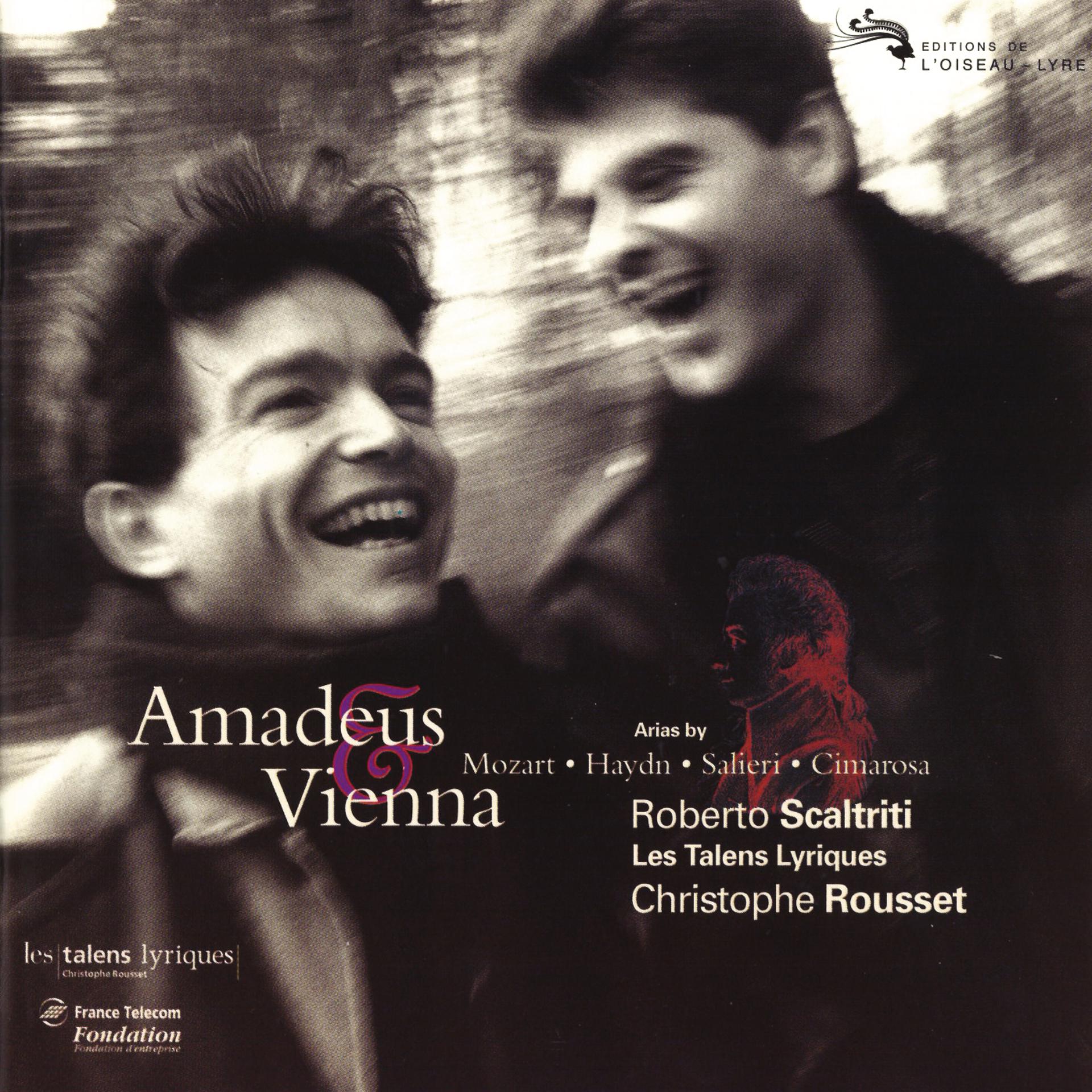 Постер альбома Amadeus & Vienna
