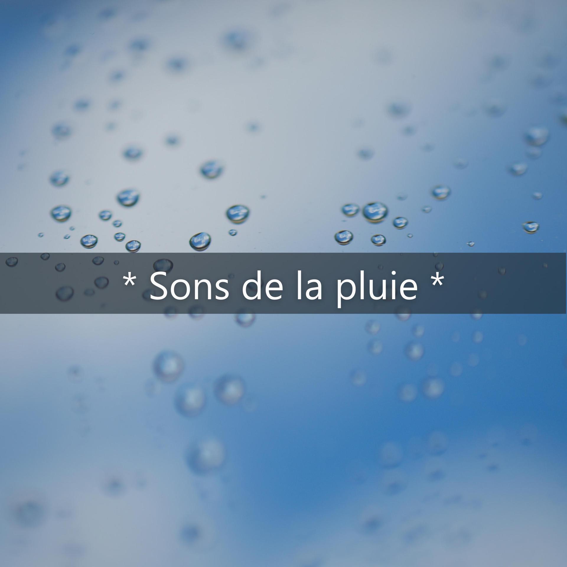 Постер альбома * Sons de la pluie *