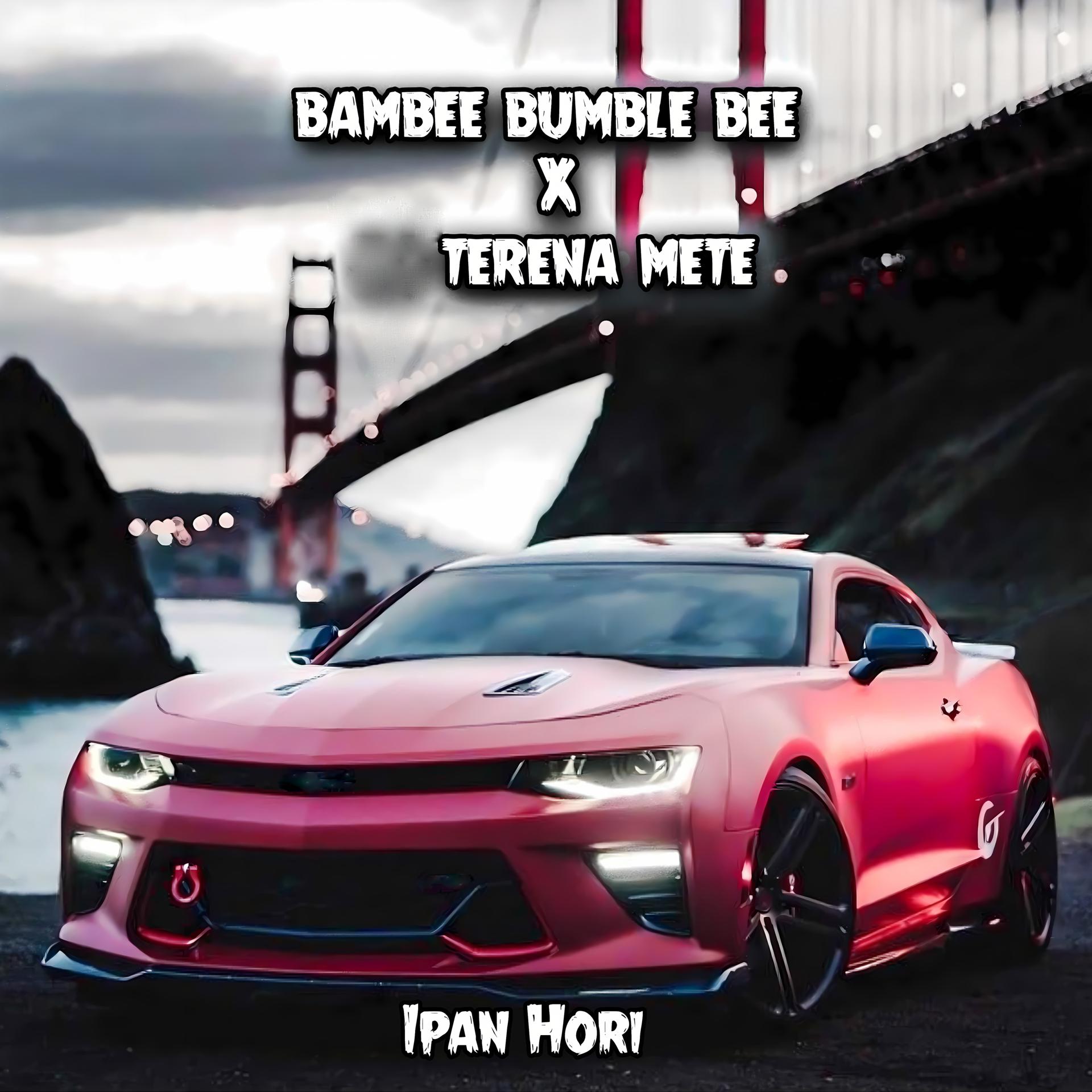 Постер альбома Bambee Bumble Bee / Terena Mete