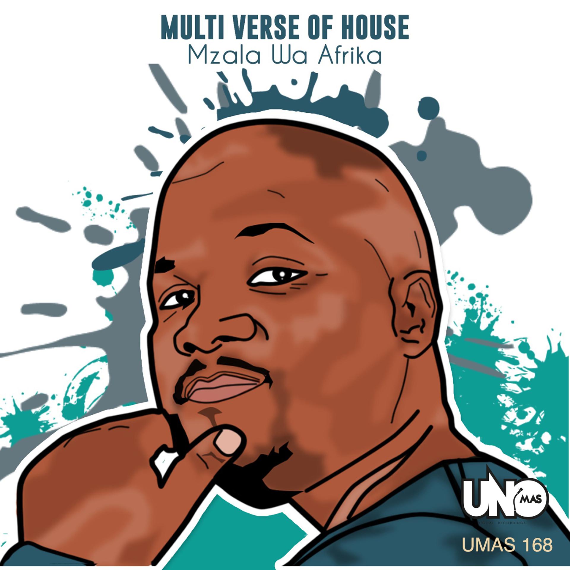 Постер альбома Multi Verse Of House