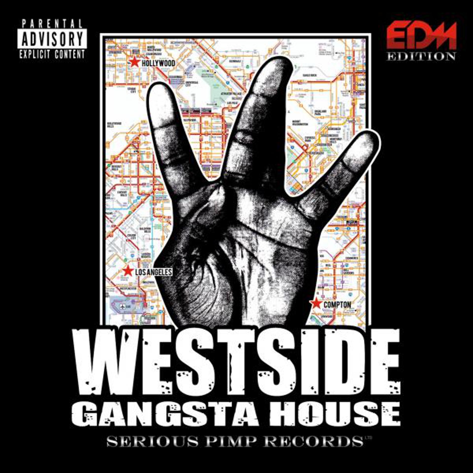 Постер альбома Westside Gangsta House