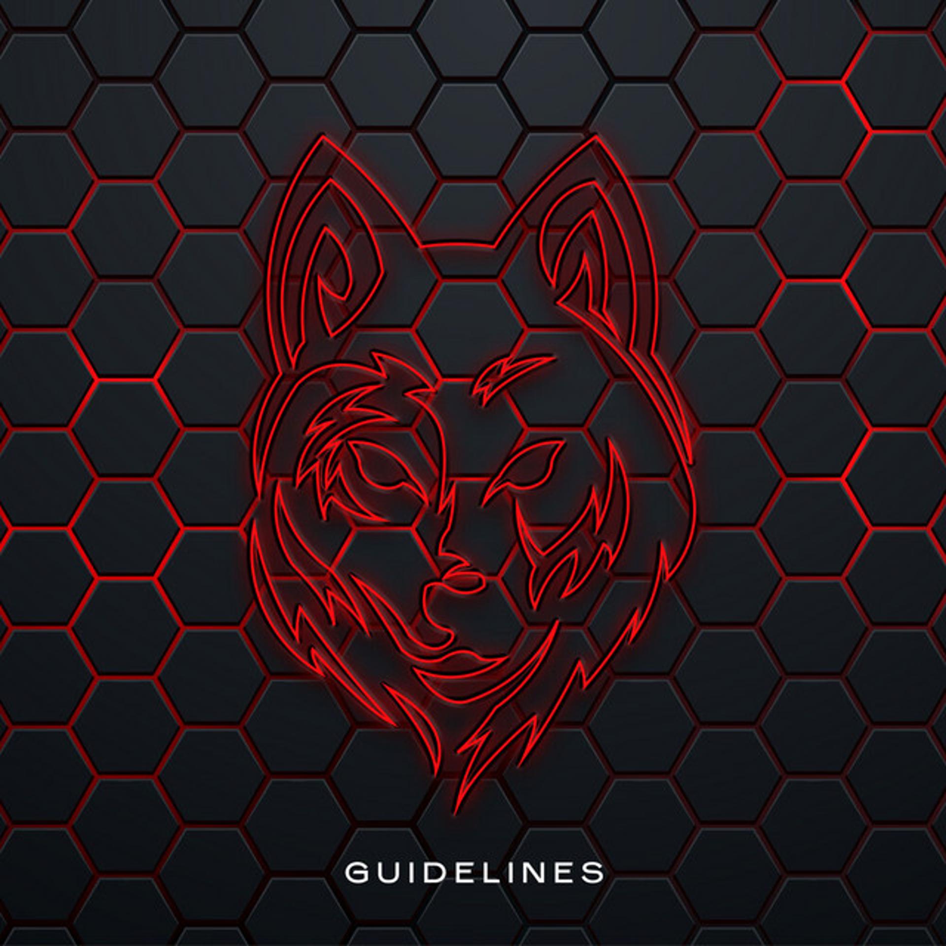 Постер альбома Guidelines